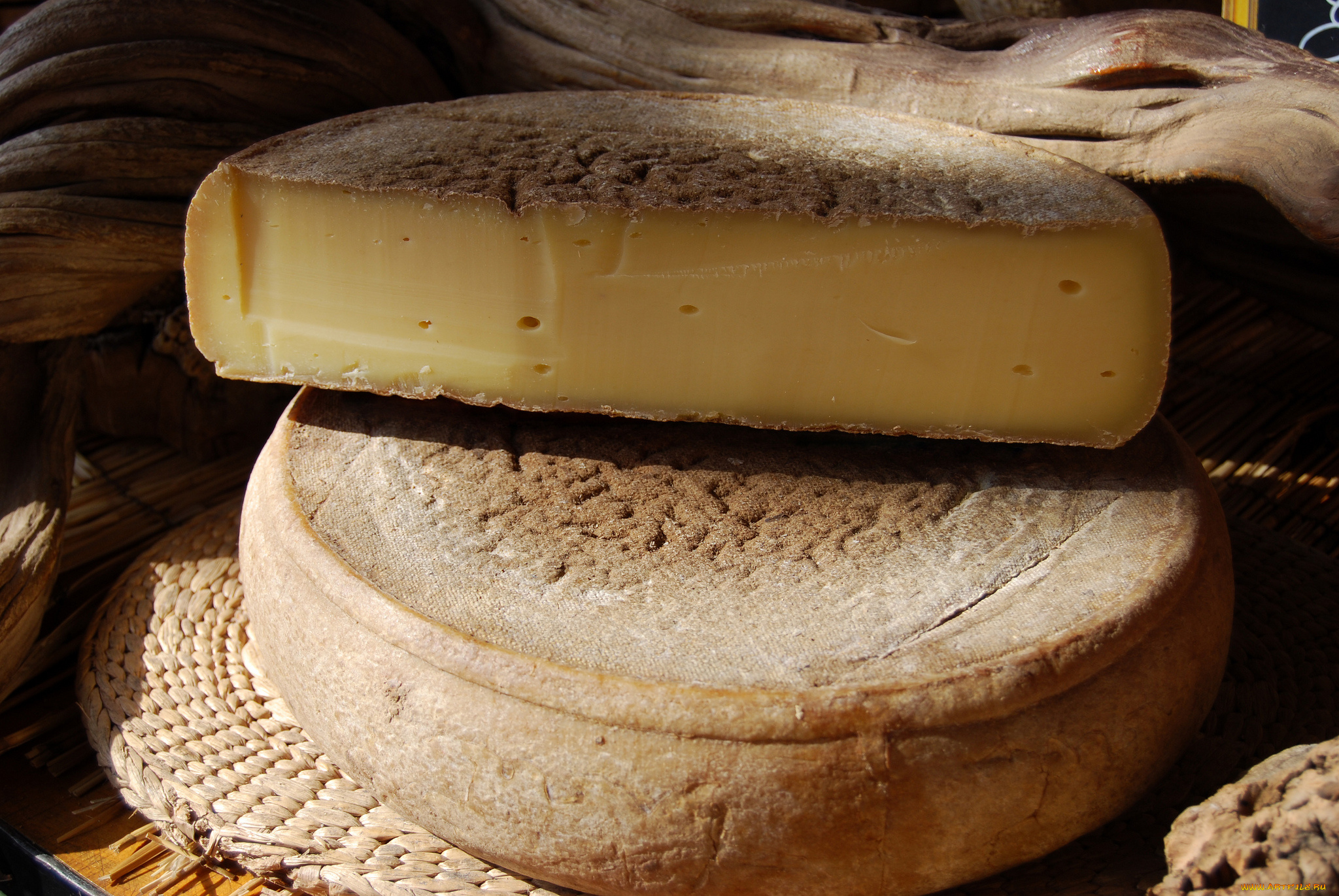 le, syb&, 233, rien, еда, сырные, изделия, сыр