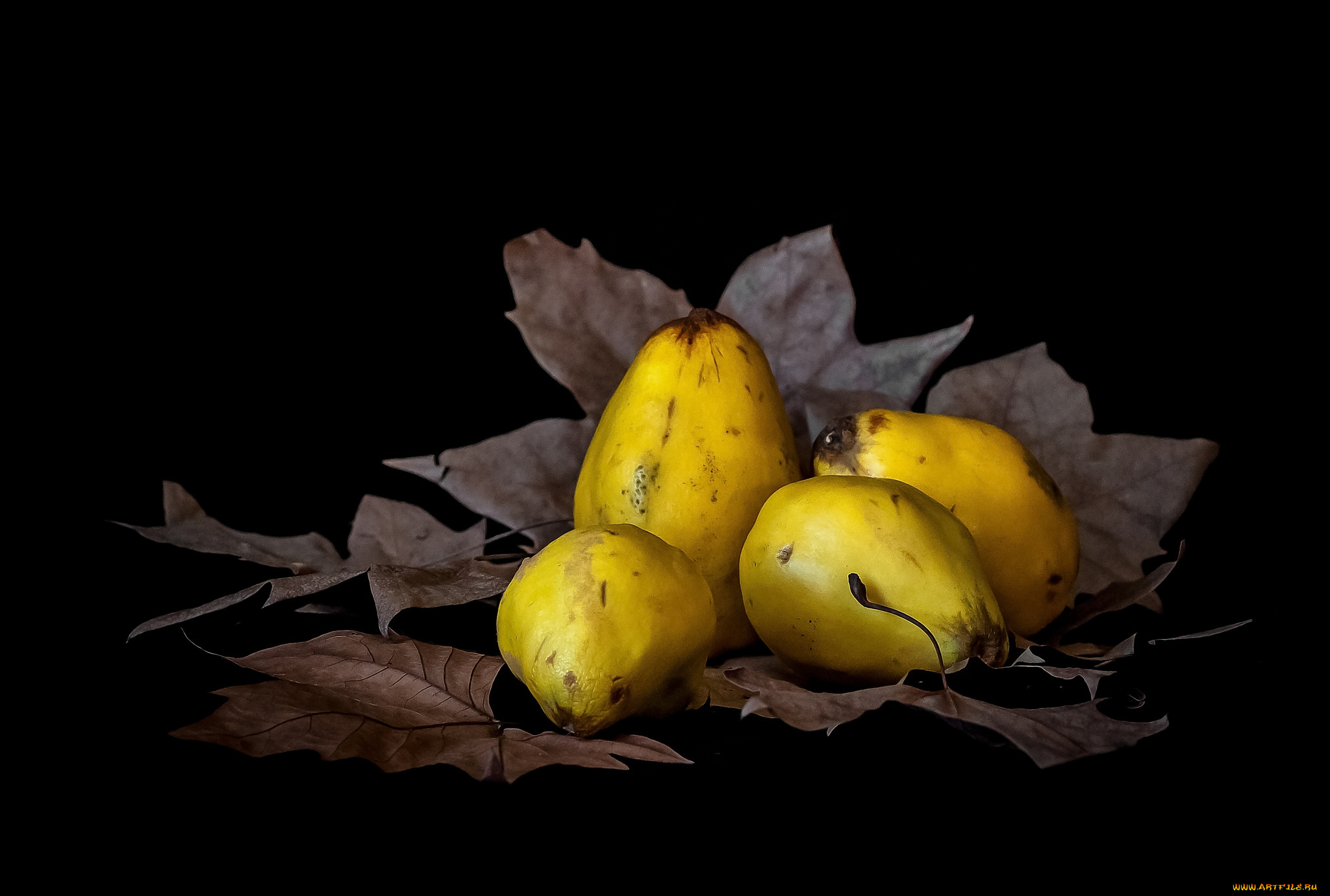 еда, груши, плоды