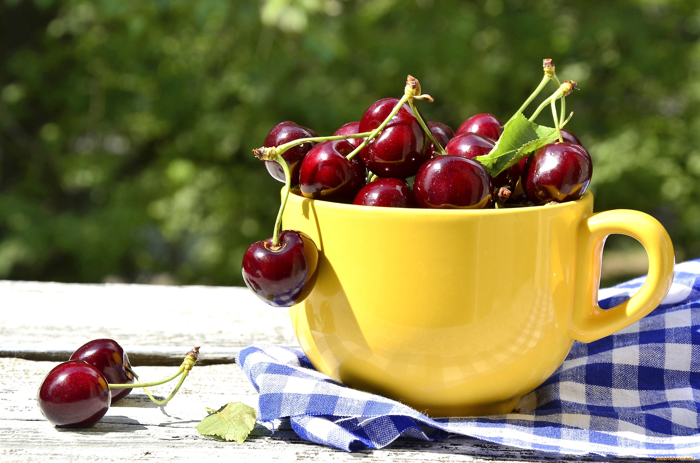 еда, вишня, , черешня, чашка, ягоды