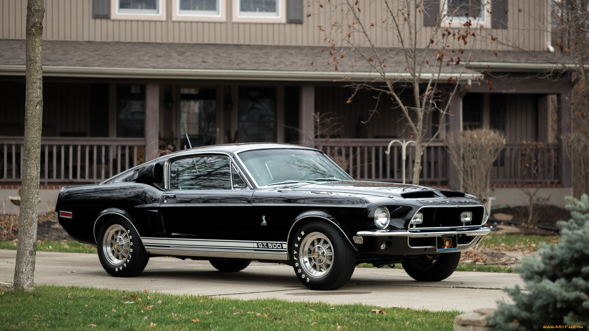 автомобили, mustang