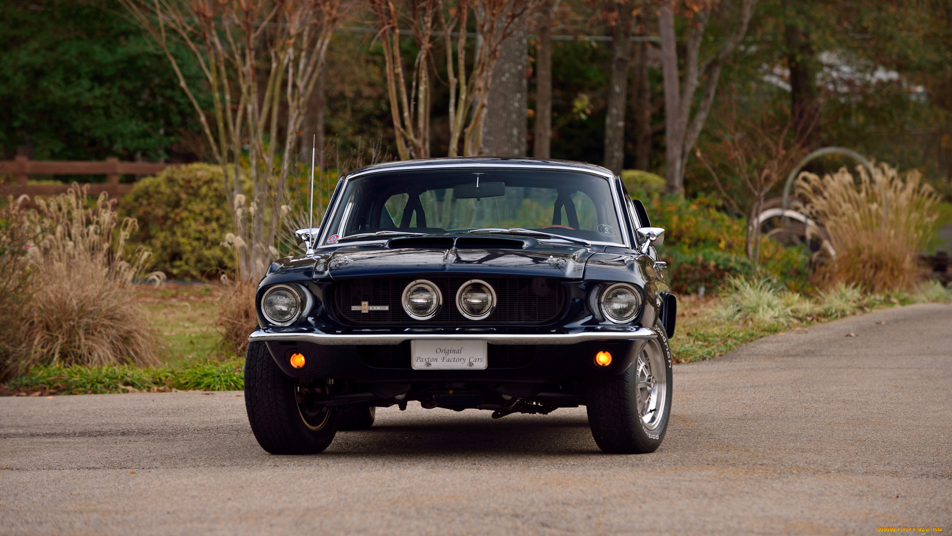 автомобили, mustang