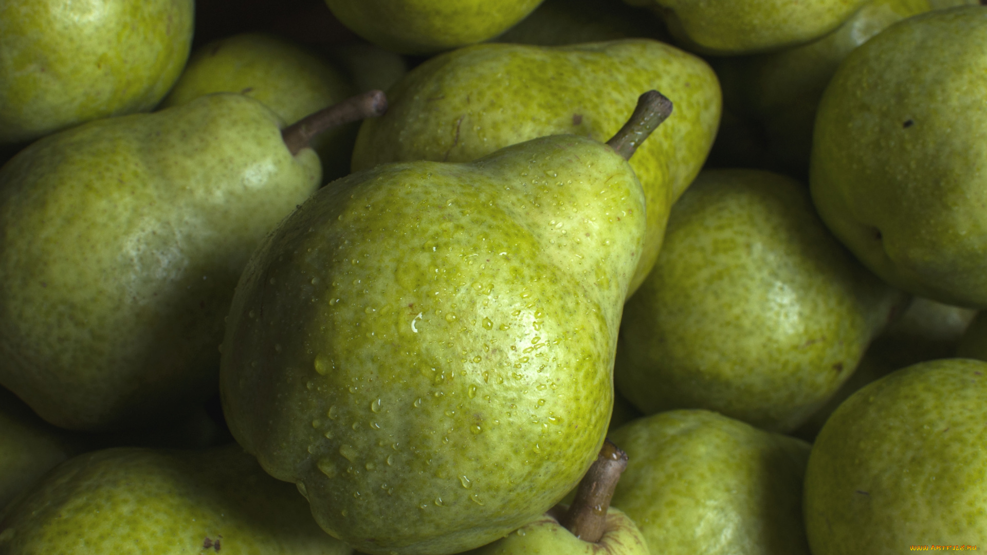 еда, груши, макро, фрукт, плод, груша