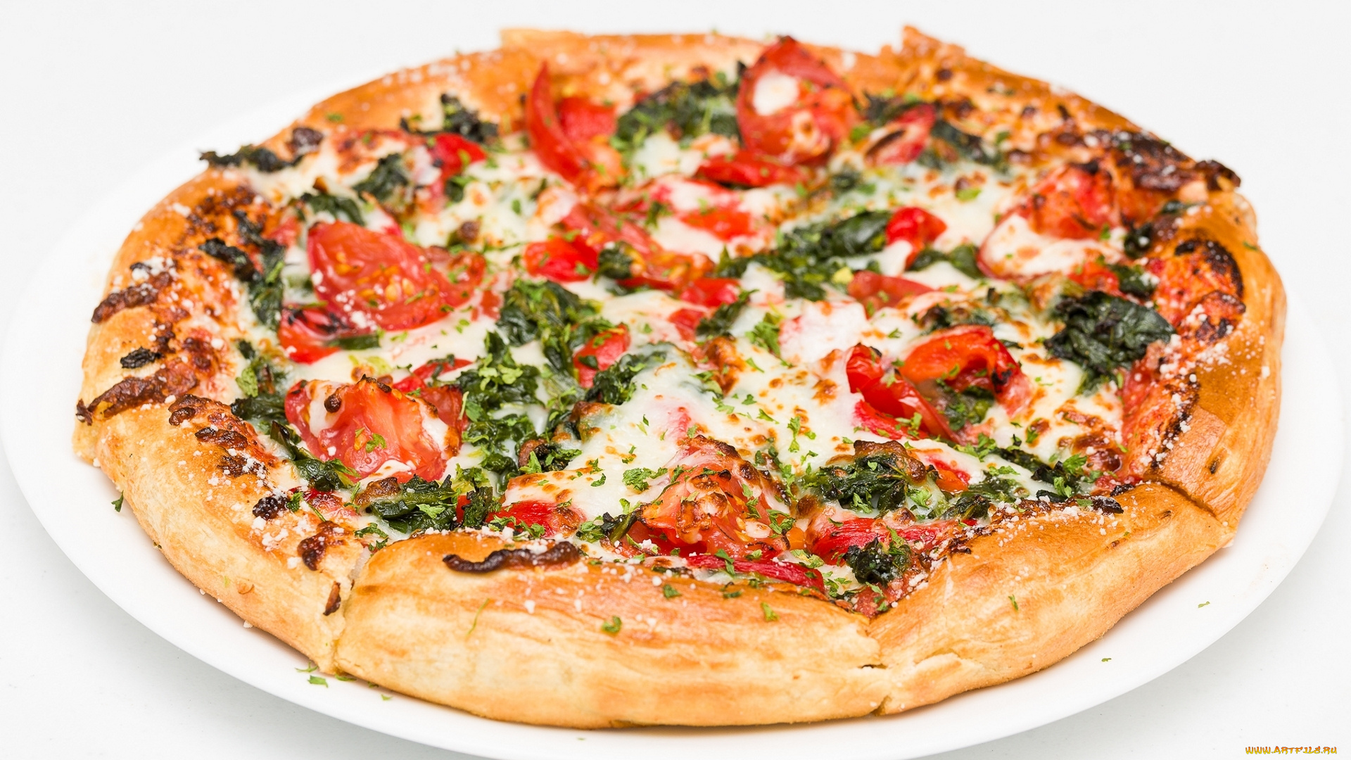 еда, пицца, начинка, помидоры, сыр