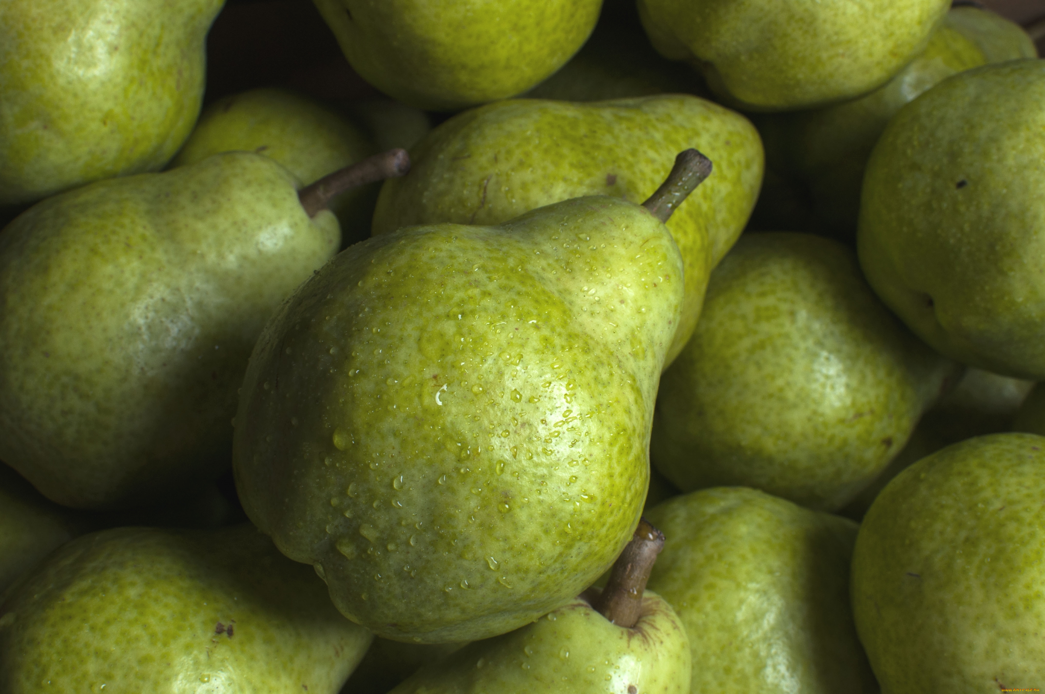 еда, груши, макро, фрукт, плод, груша