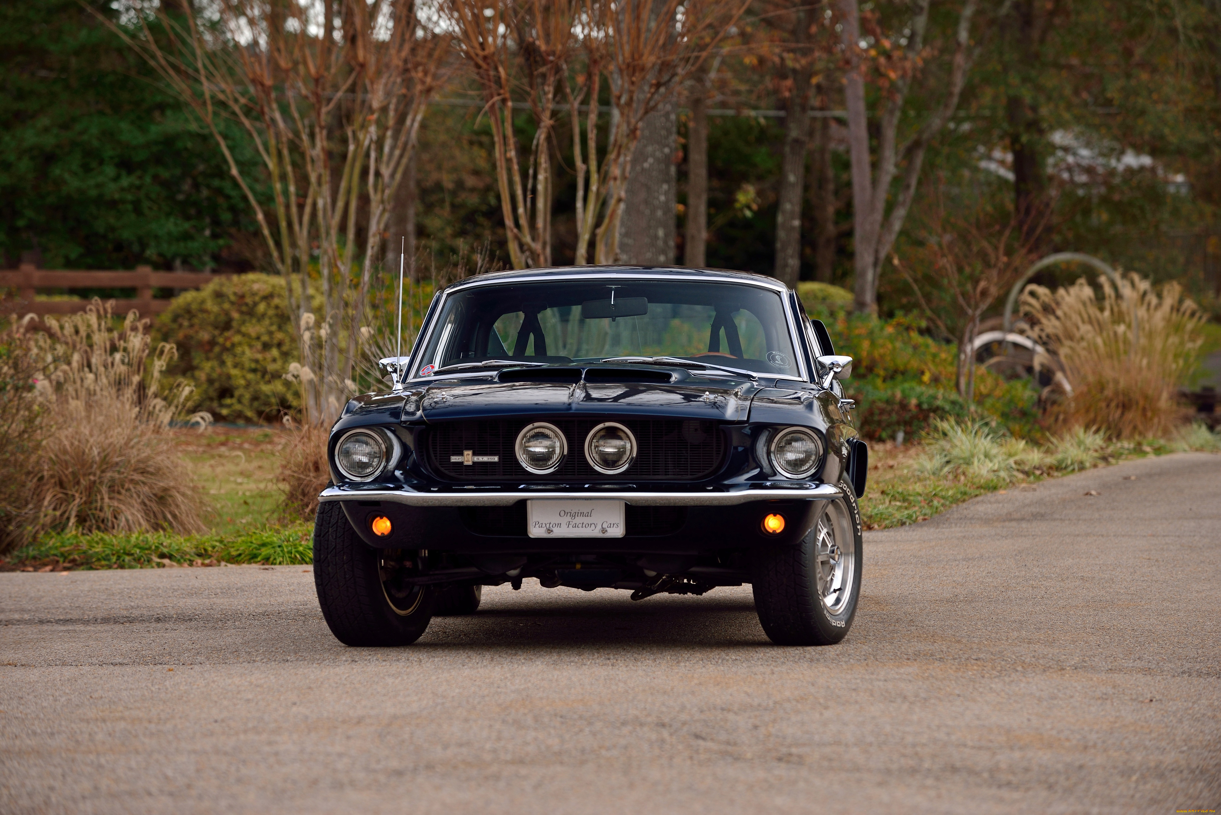 автомобили, mustang