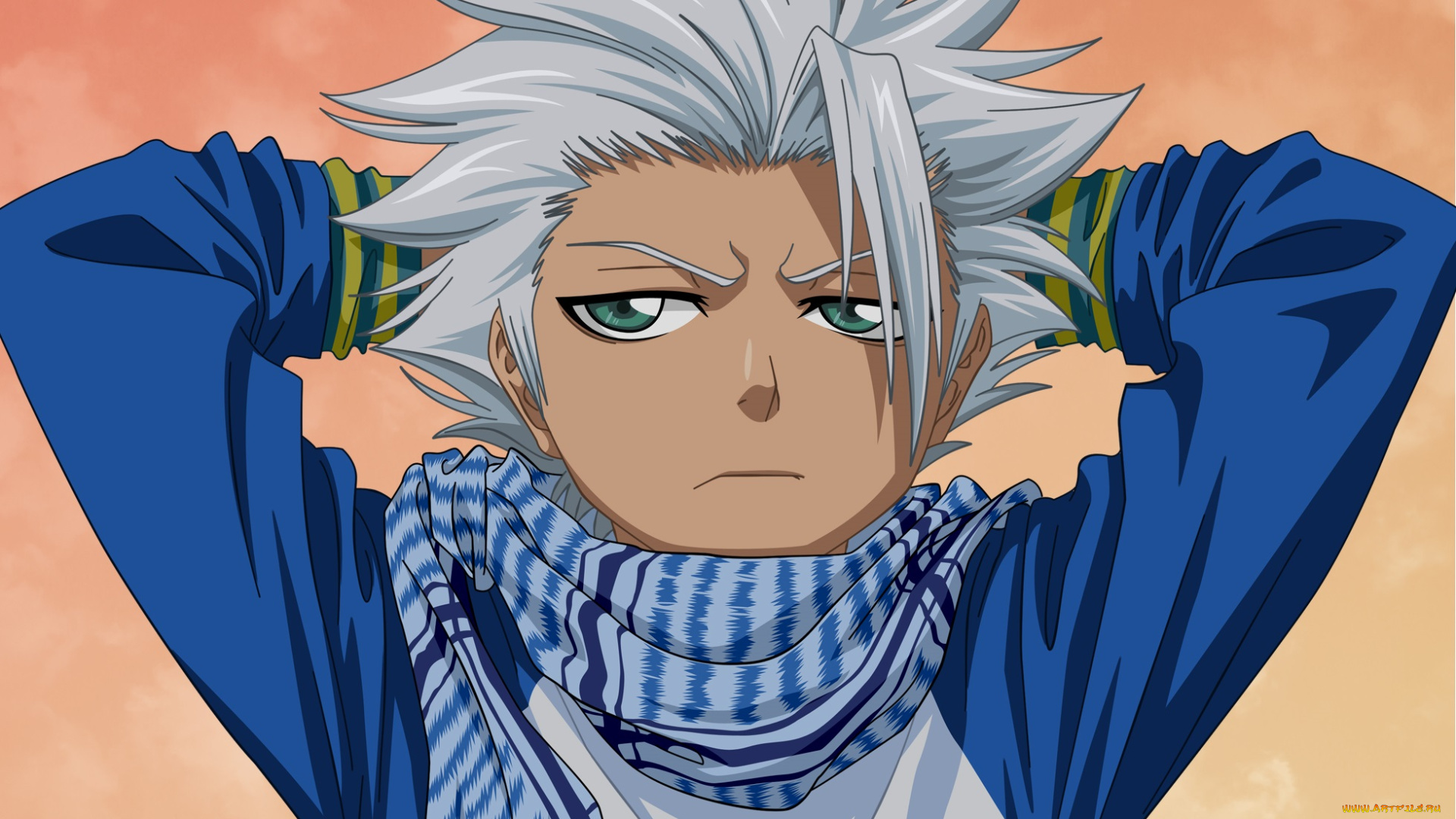 аниме, bleach, тоуширо