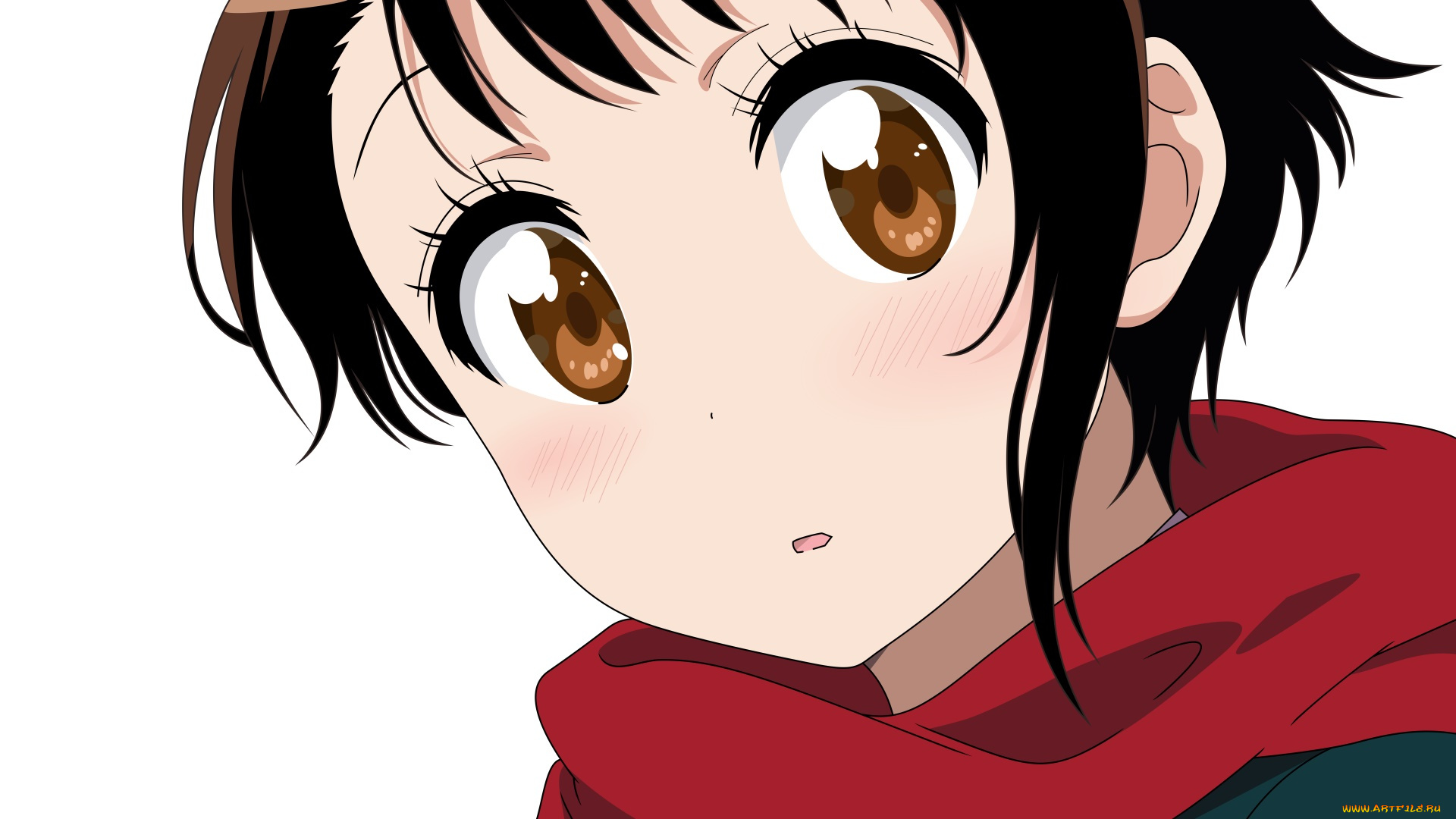 аниме, nisekoi, фон, взгляд, девушка