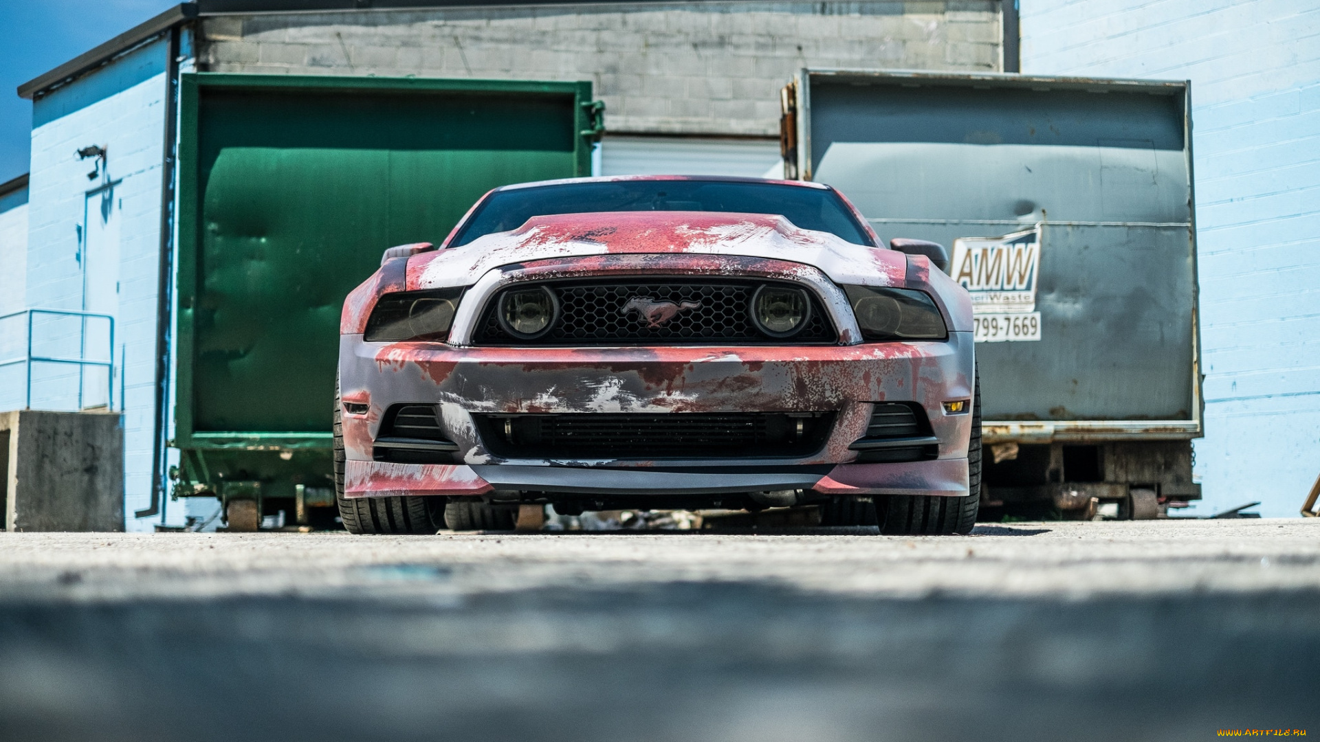 автомобили, mustang