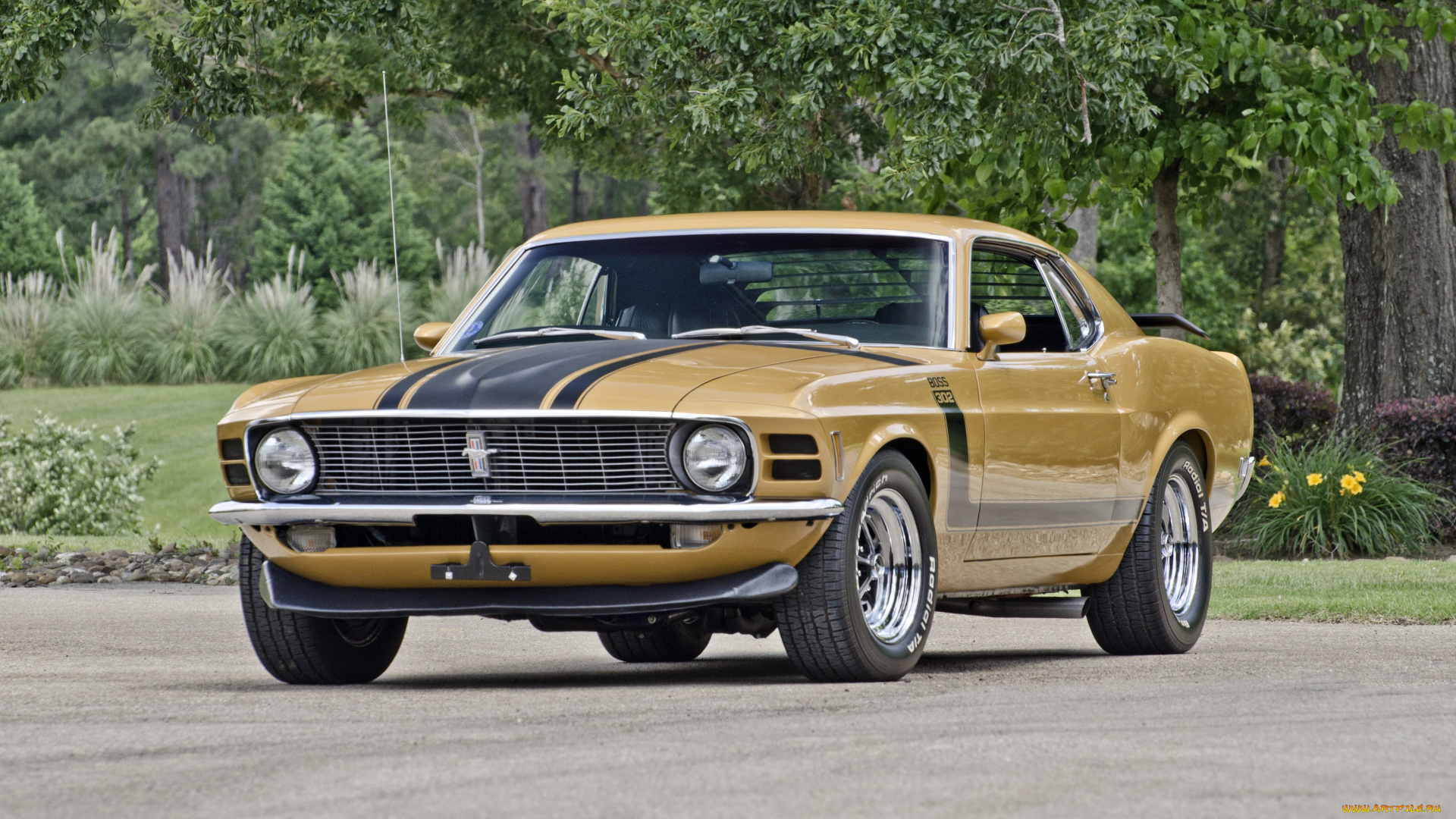 автомобили, mustang