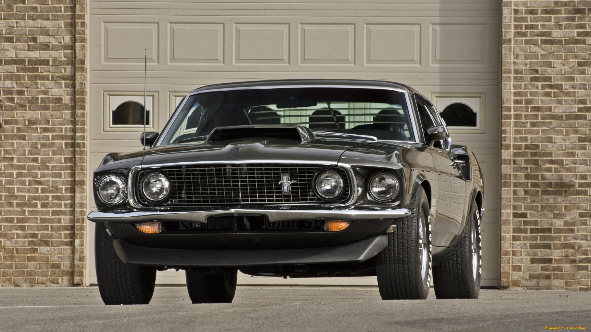 автомобили, mustang