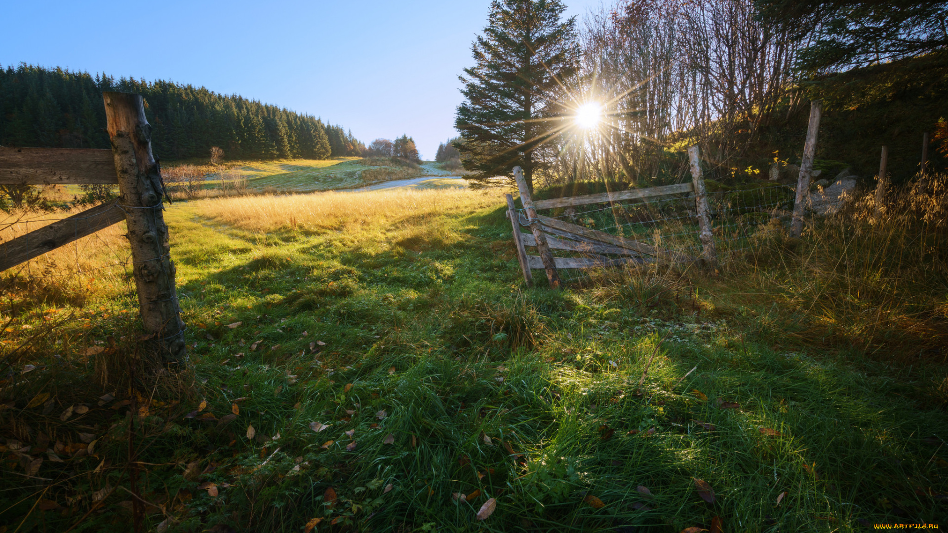 природа, пейзажи, рассвет