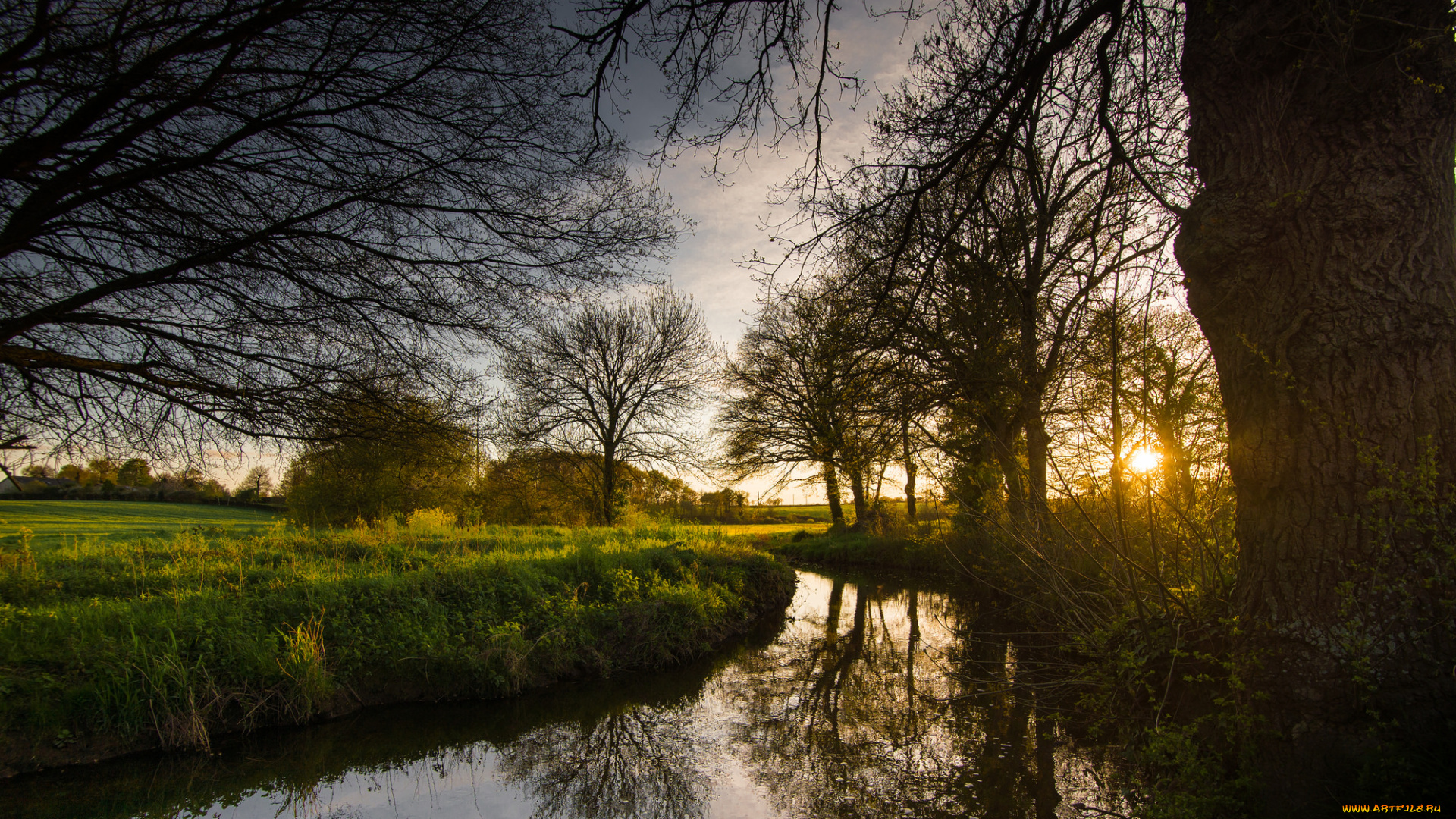 природа, реки, озера, лес, река