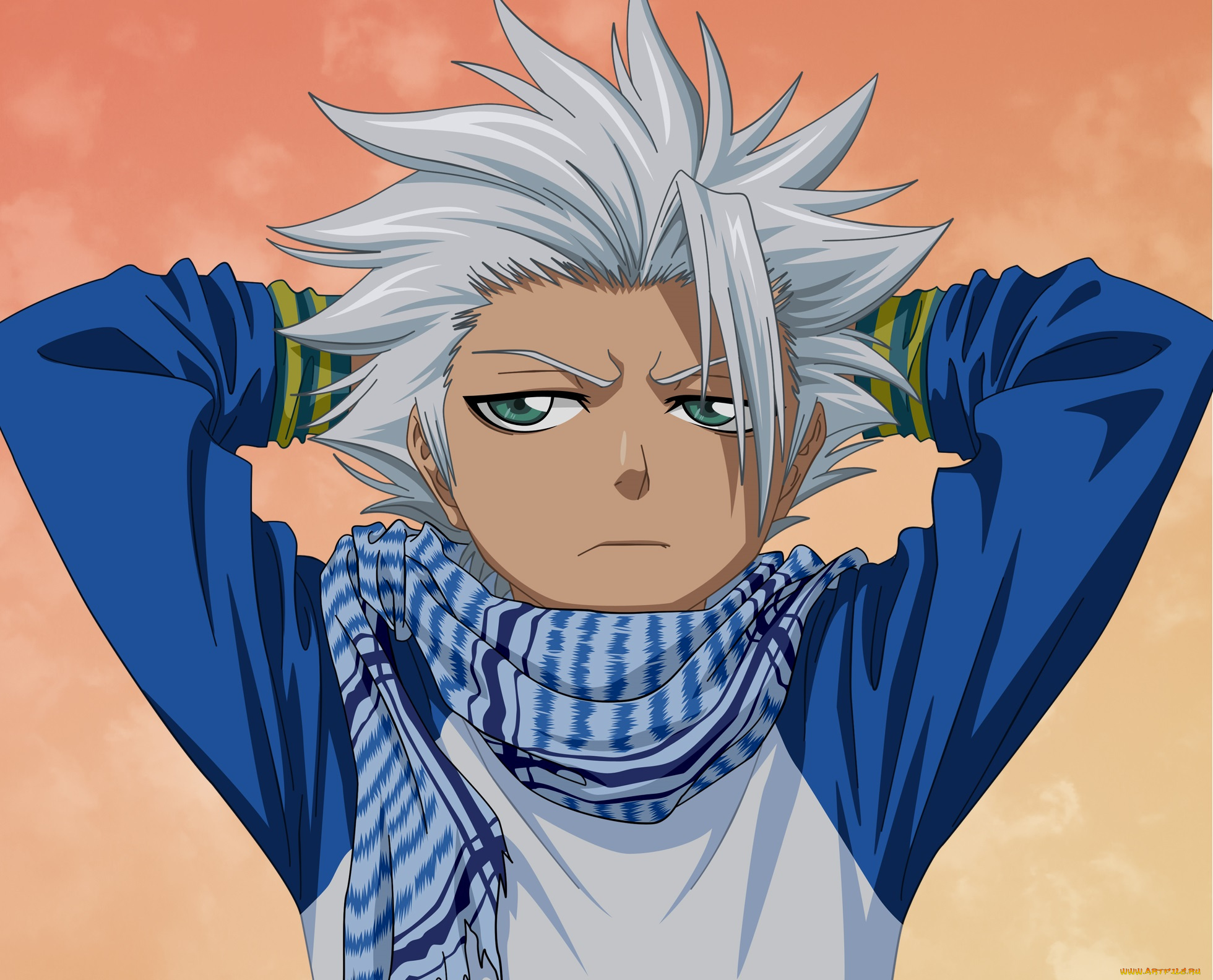 аниме, bleach, тоуширо