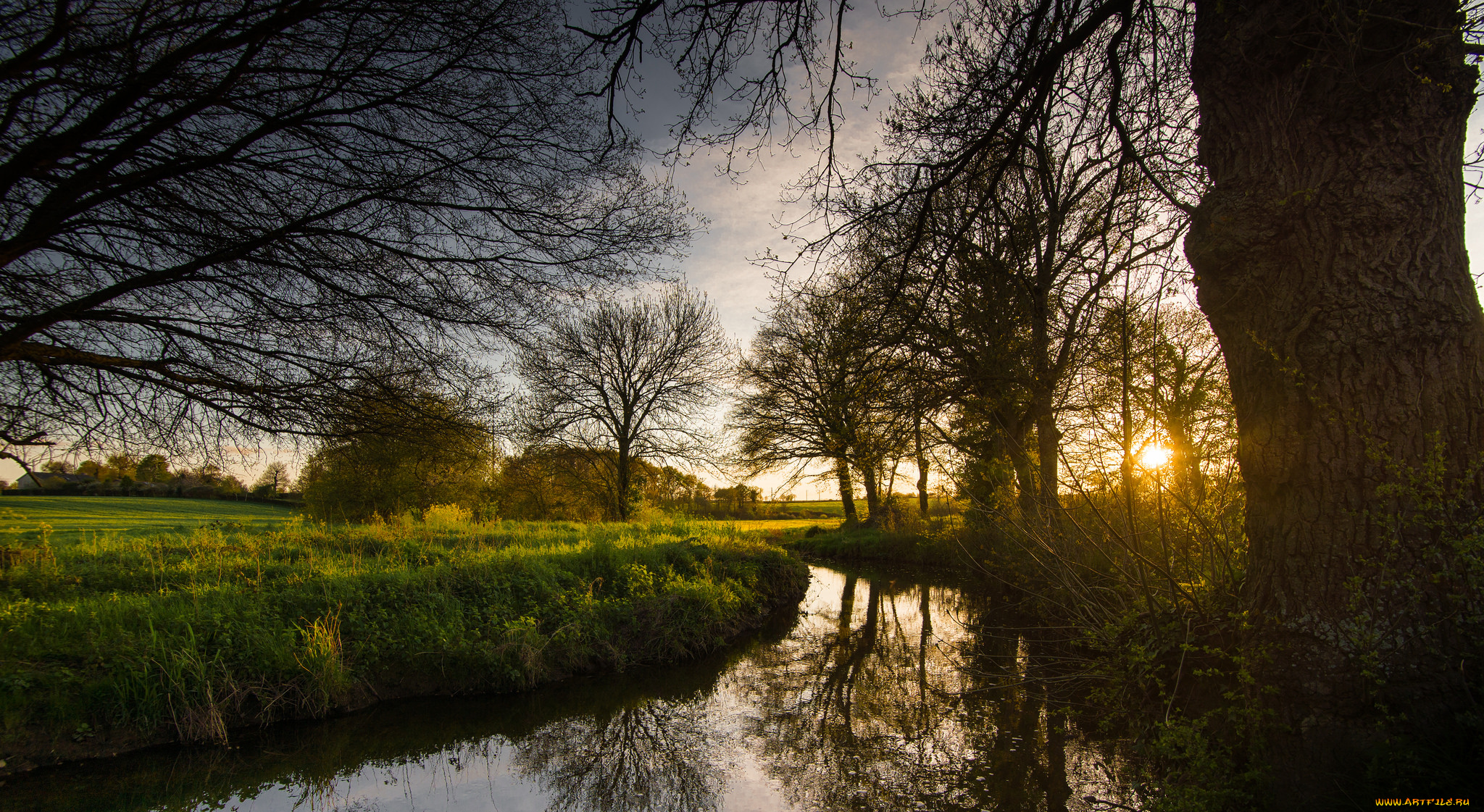 природа, реки, озера, лес, река