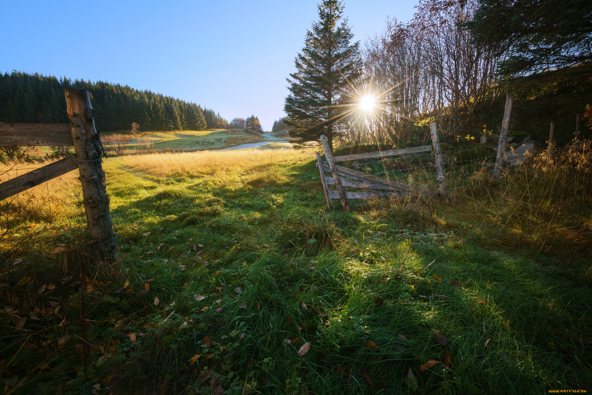 природа, пейзажи, рассвет