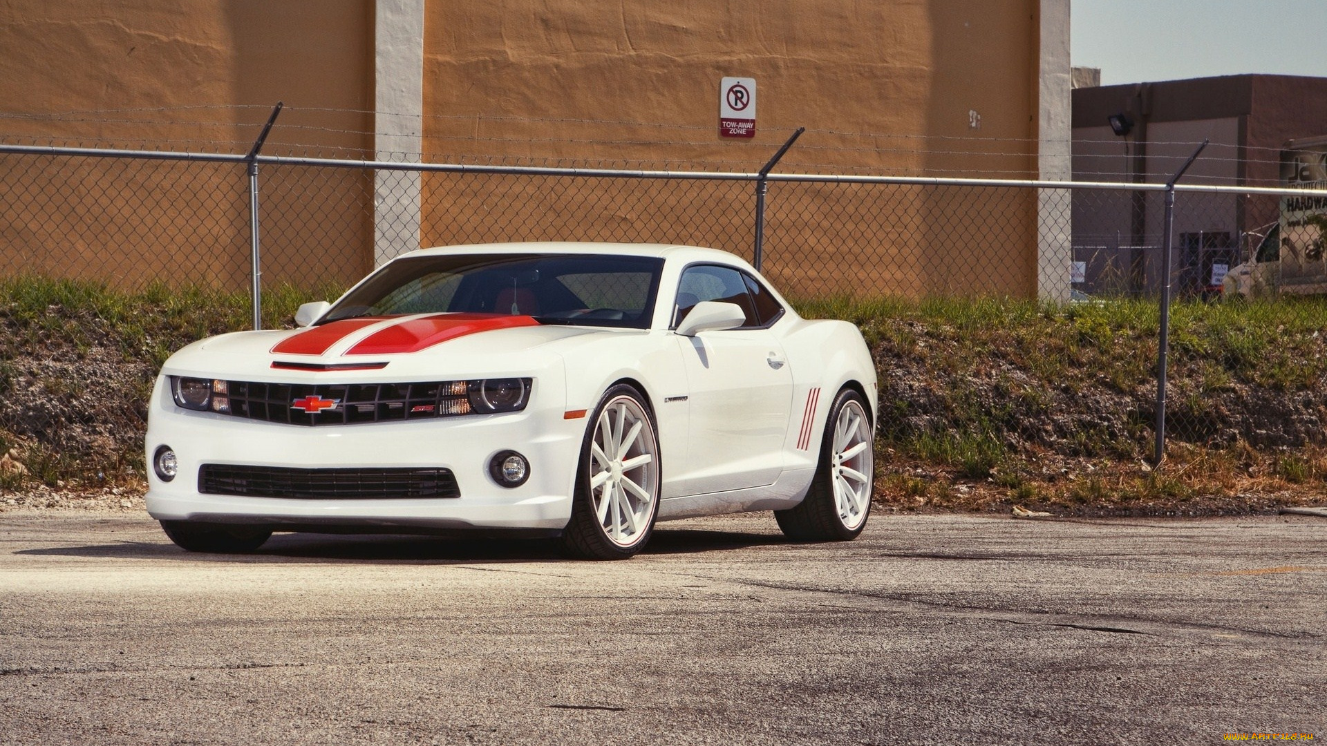 автомобили, camaro