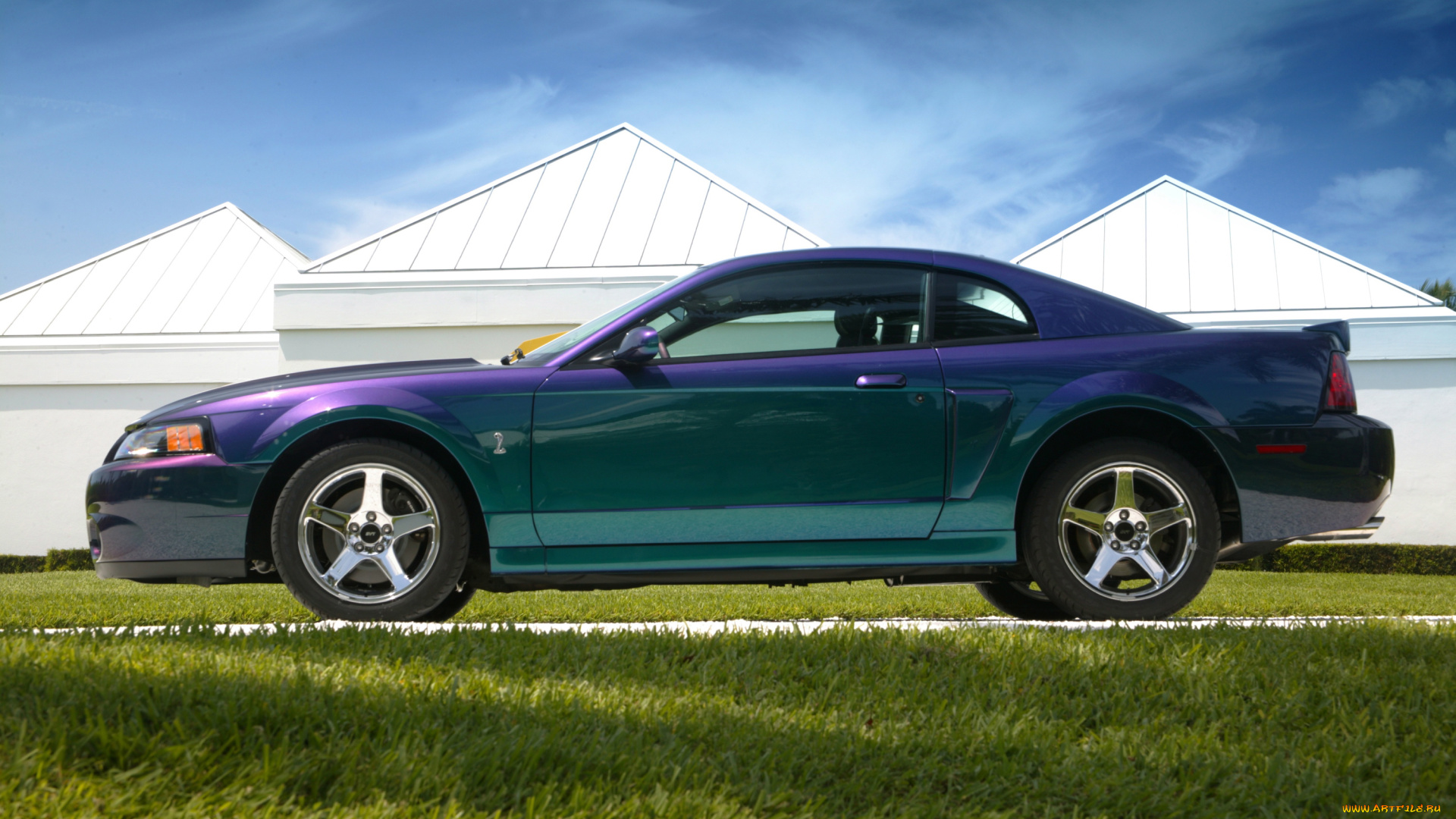 автомобили, mustang