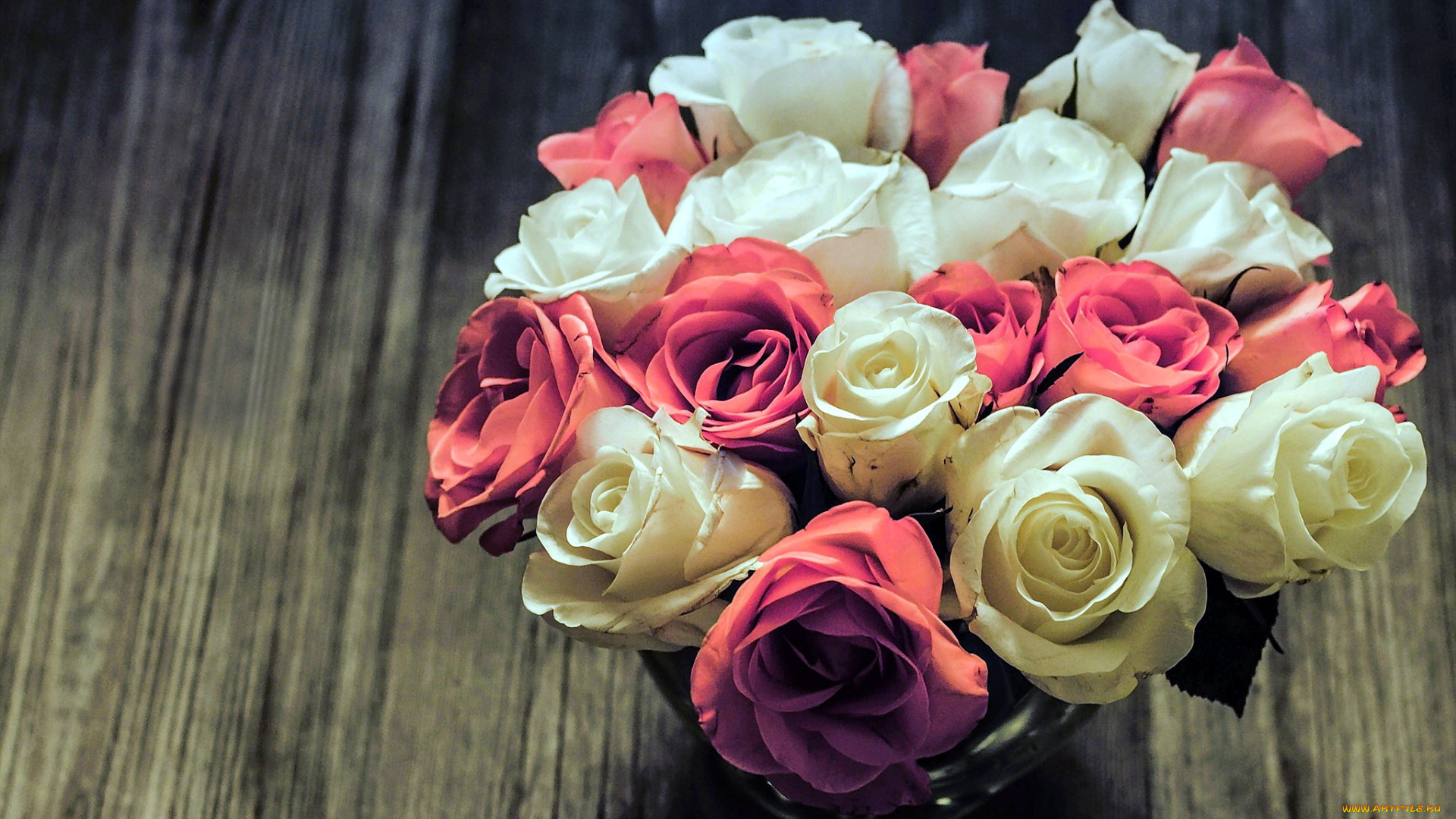 цветы, розы, бутоны