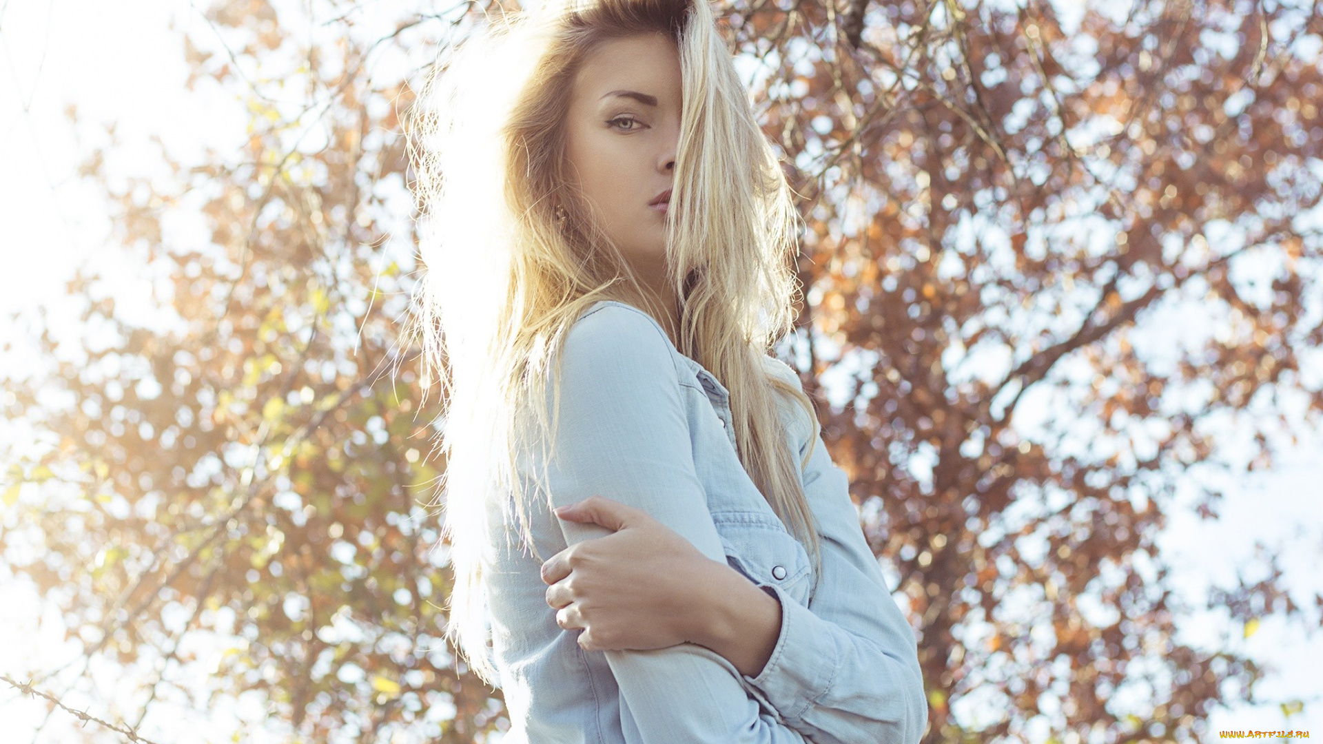 девушка, девушки, -unsort, , блондинки, , светловолосые, модель