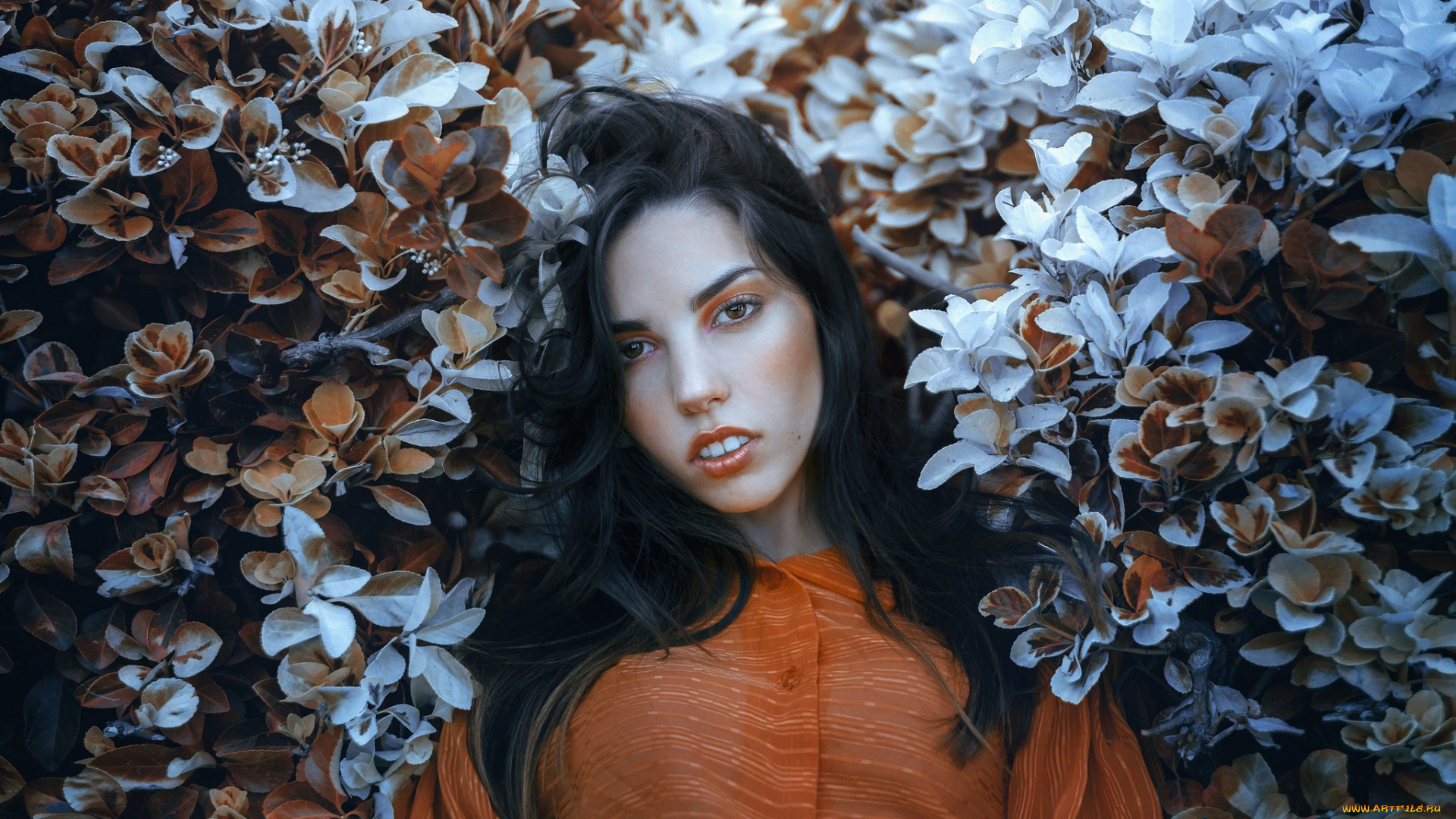 девушка, девушки, -unsort, , брюнетки, темноволосые, модель