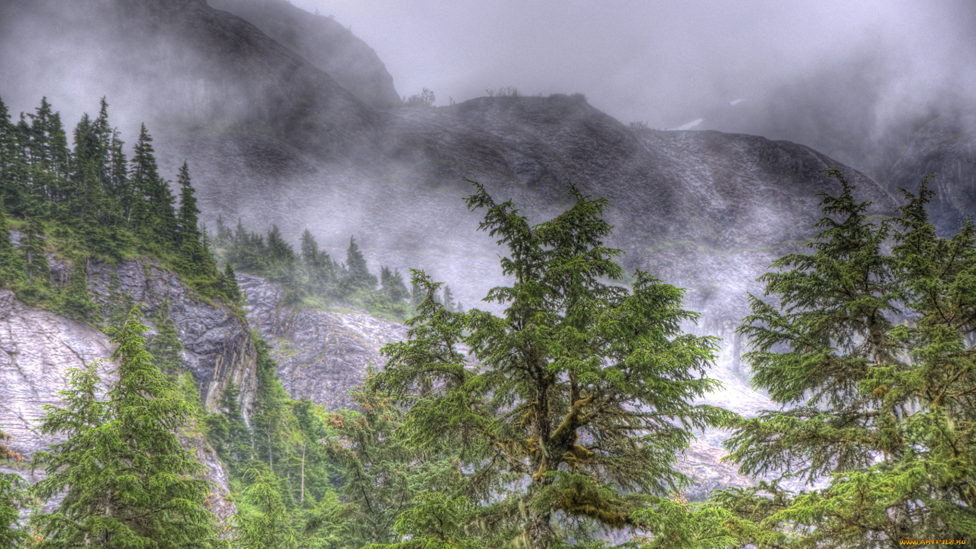 природа, горы, простор