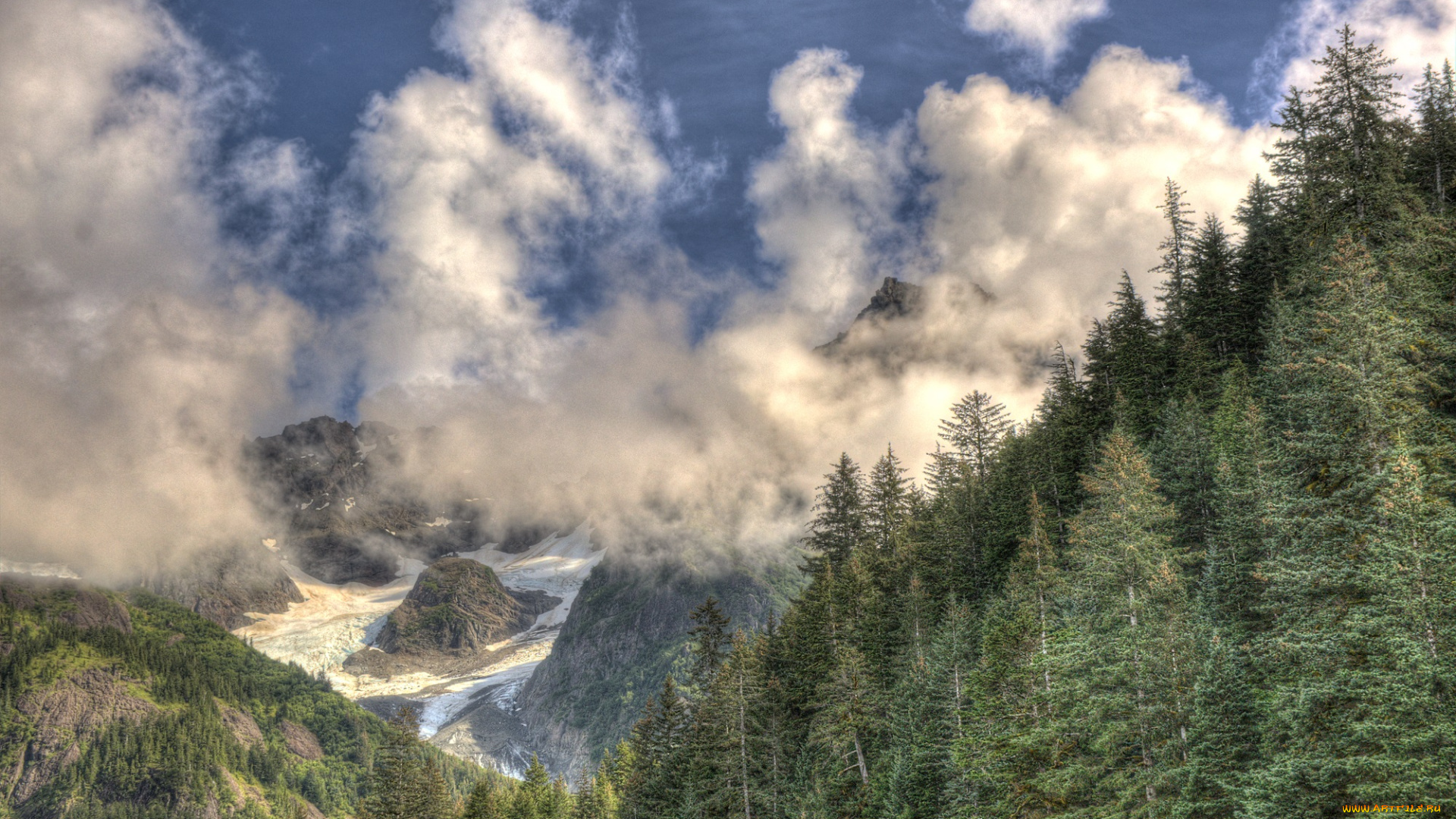 природа, лес, простор