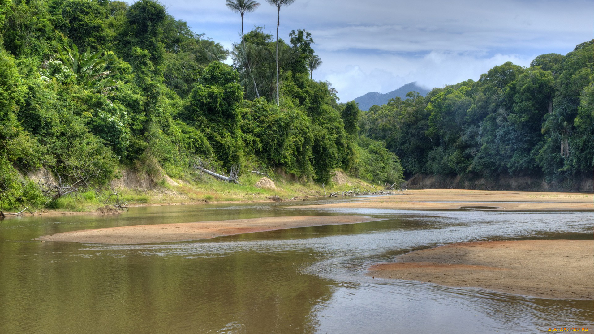 природа, реки, озера, простор