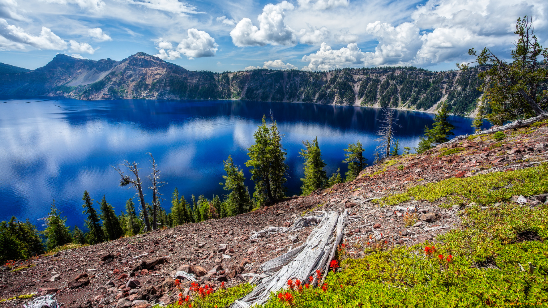 природа, реки, озера, простор