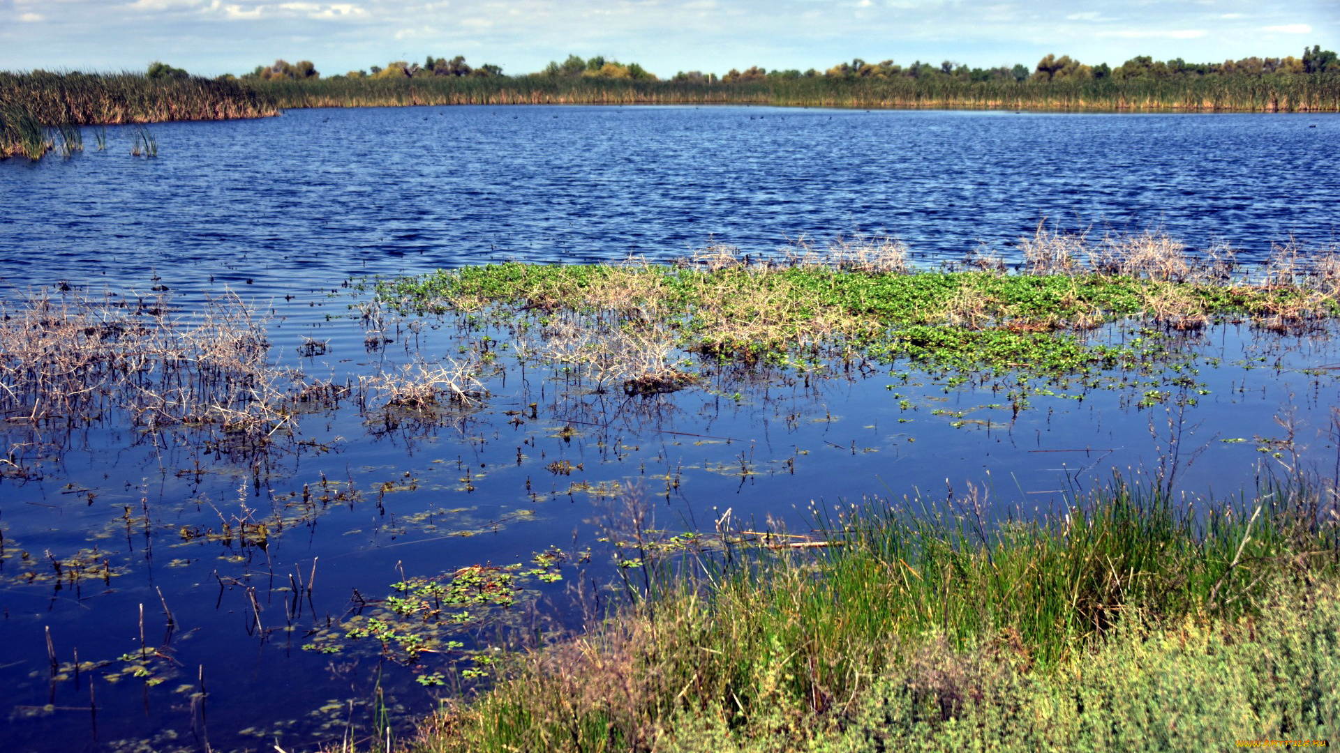 природа, реки, озера, вода