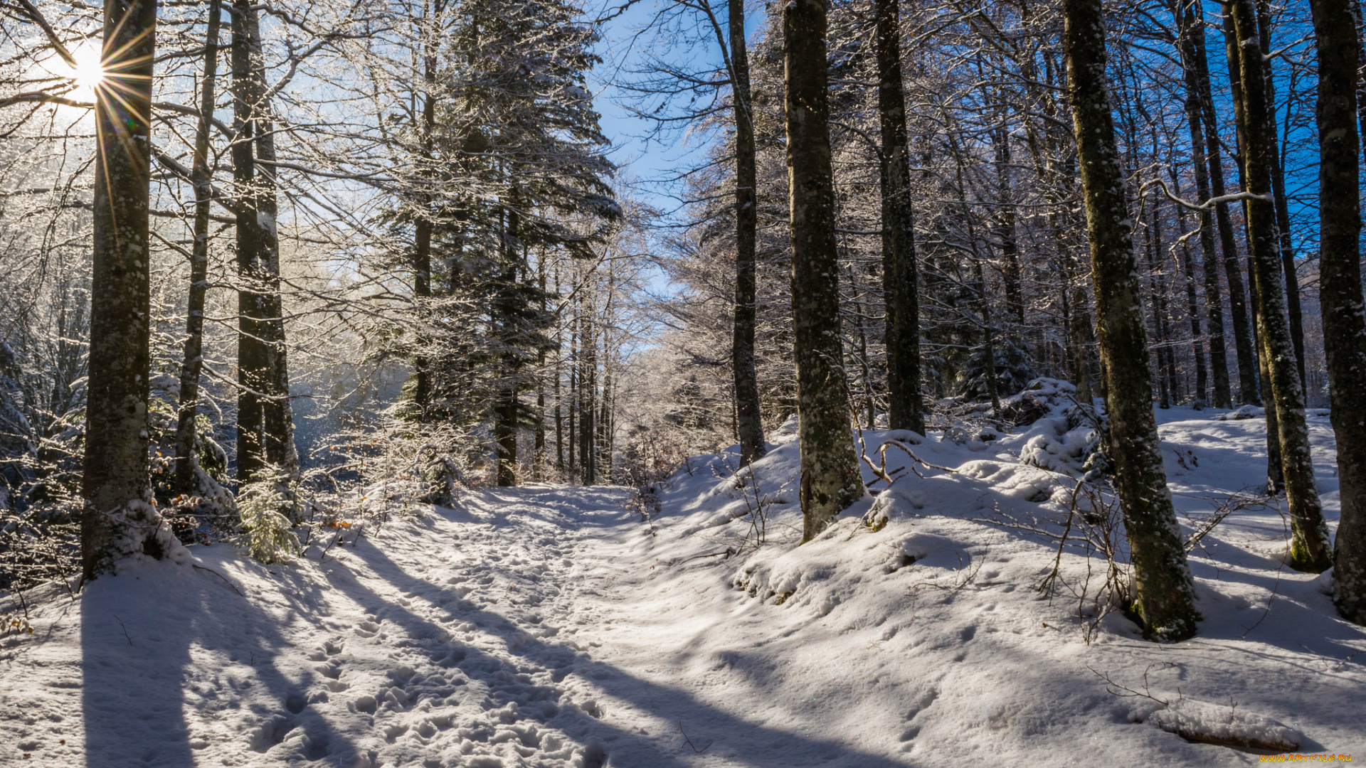 природа, зима, простор