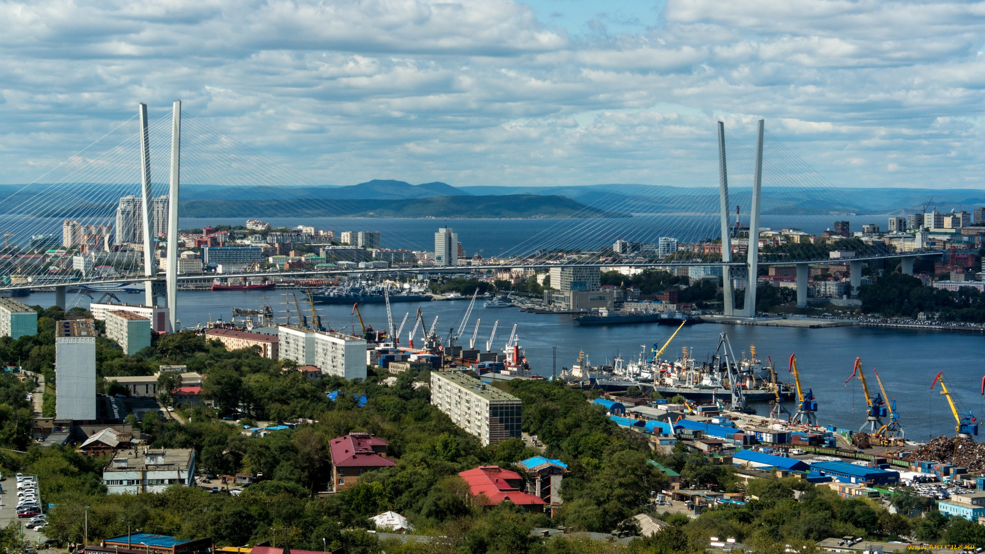 владивосток, россия, города, -, панорамы, бухта, золотой, рог, залив, петра, великого, мост, порт, город