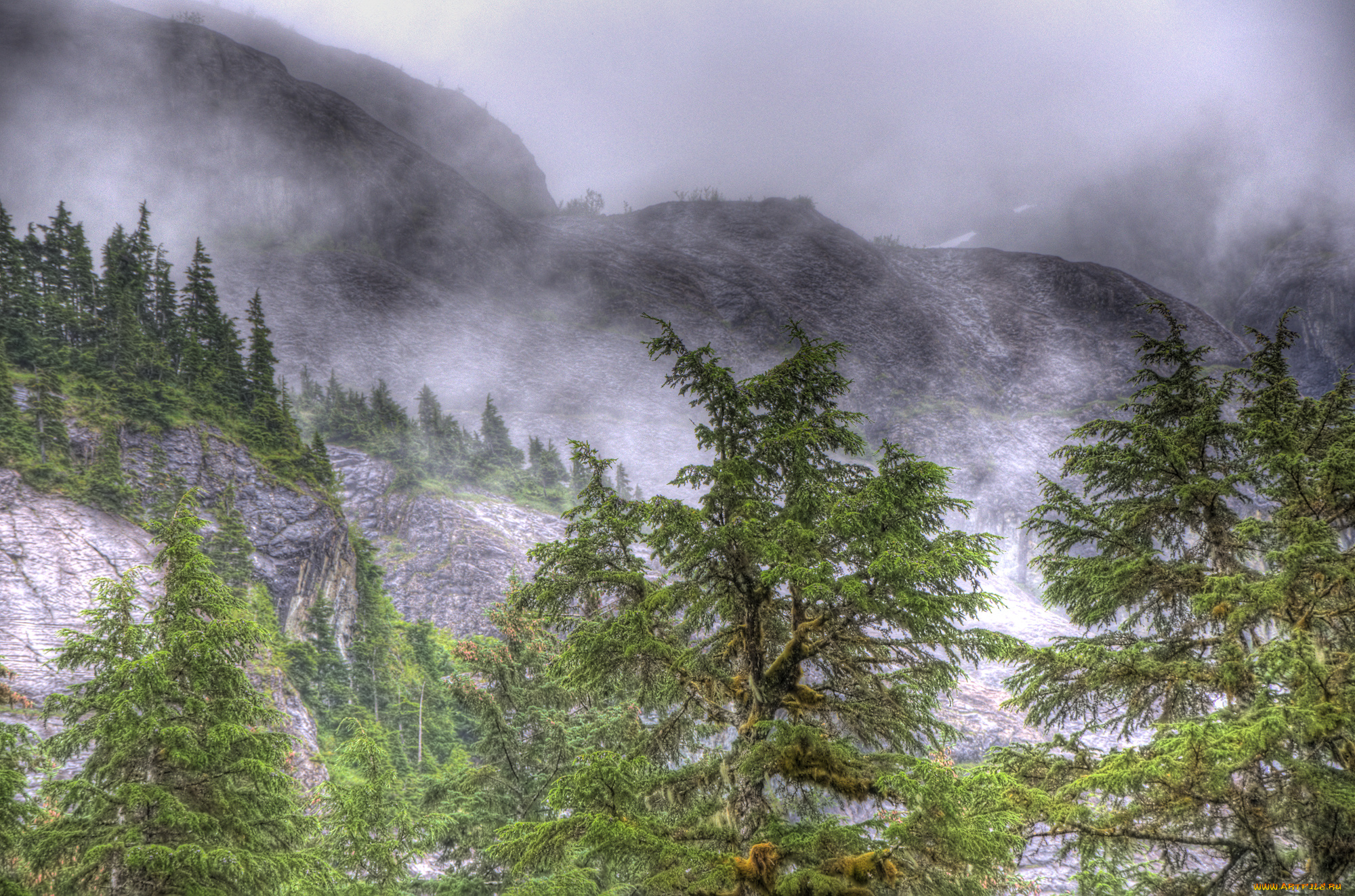 природа, горы, простор