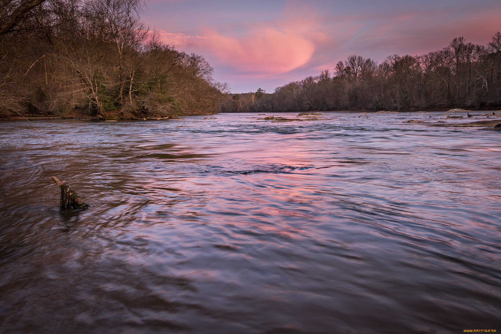 природа, реки, озера, простор