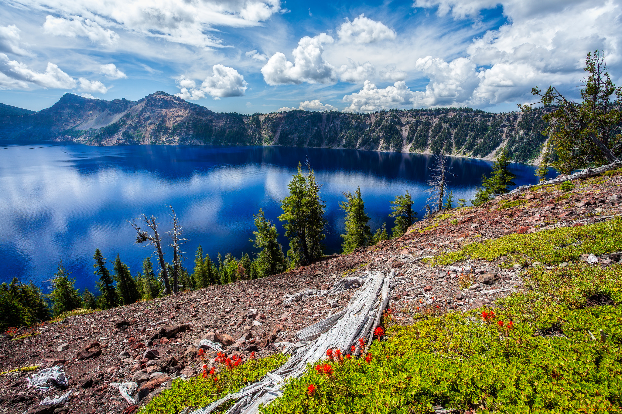 природа, реки, озера, простор