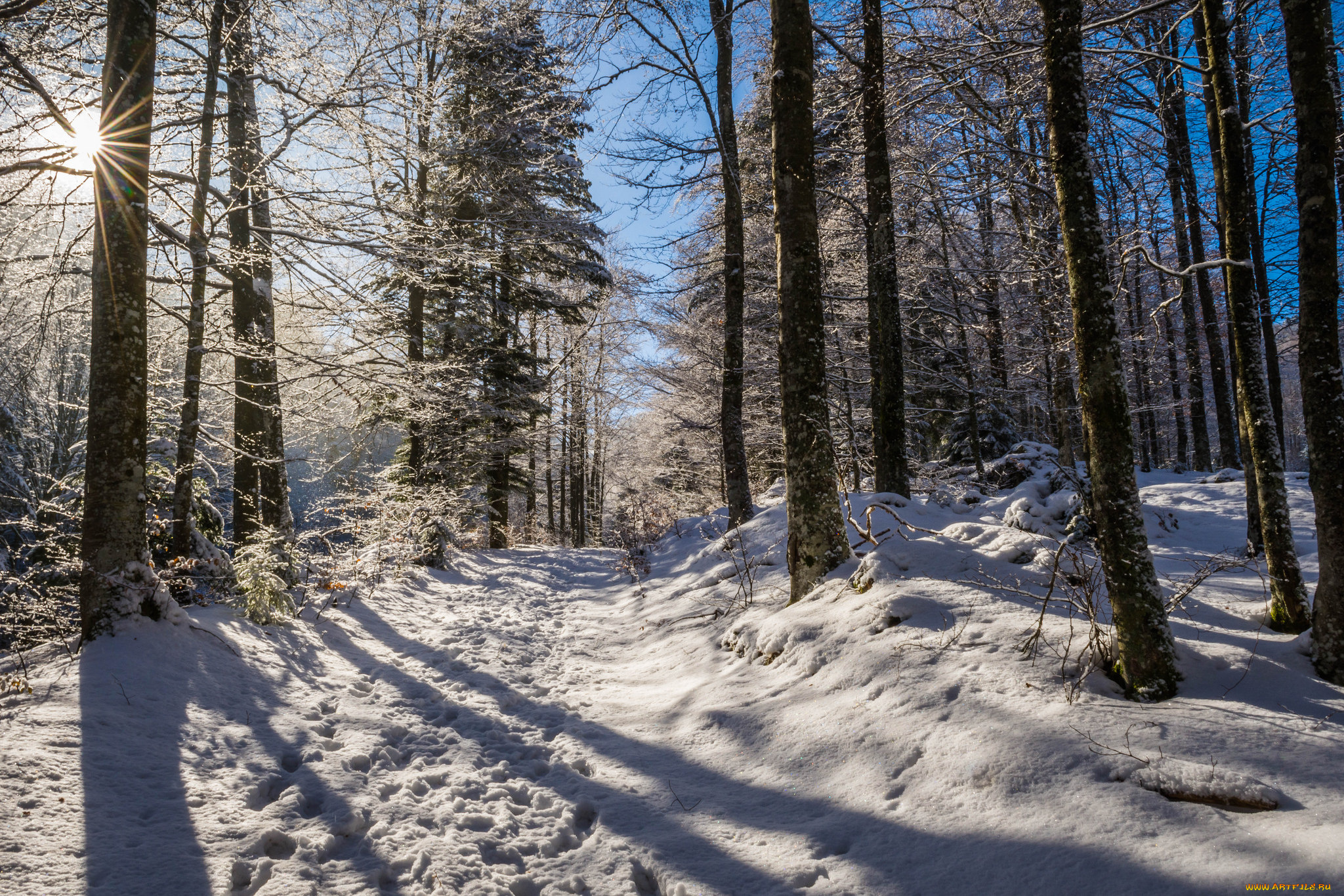 природа, зима, простор