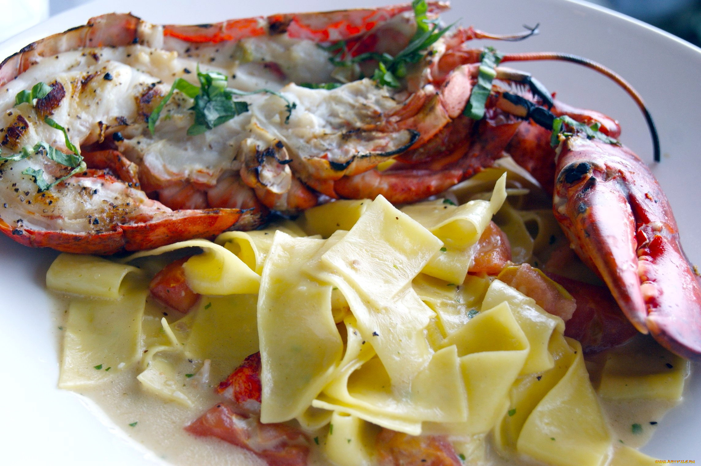 еда, рыбные, блюда, , с, морепродуктами, лобстер