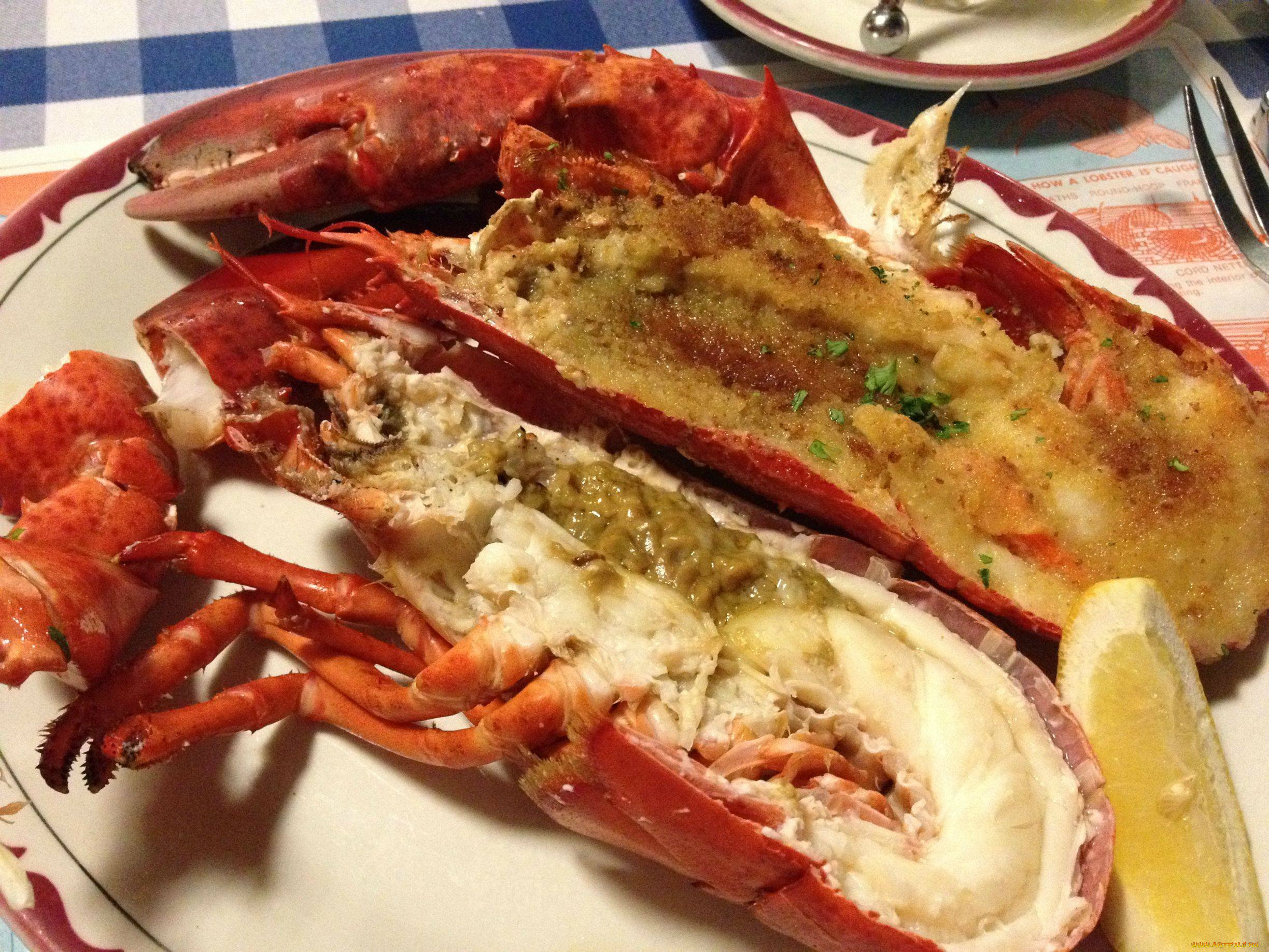 еда, рыбные, блюда, , с, морепродуктами, лобстер