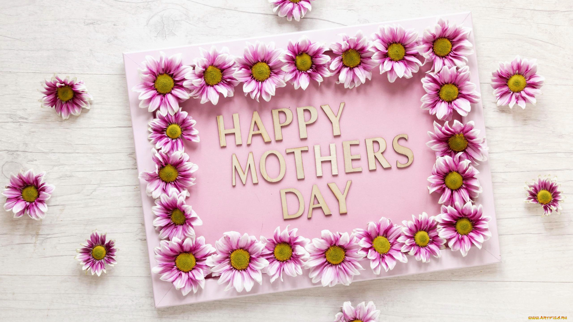 праздничные, день, матери, рамка, хризантемы, надпись