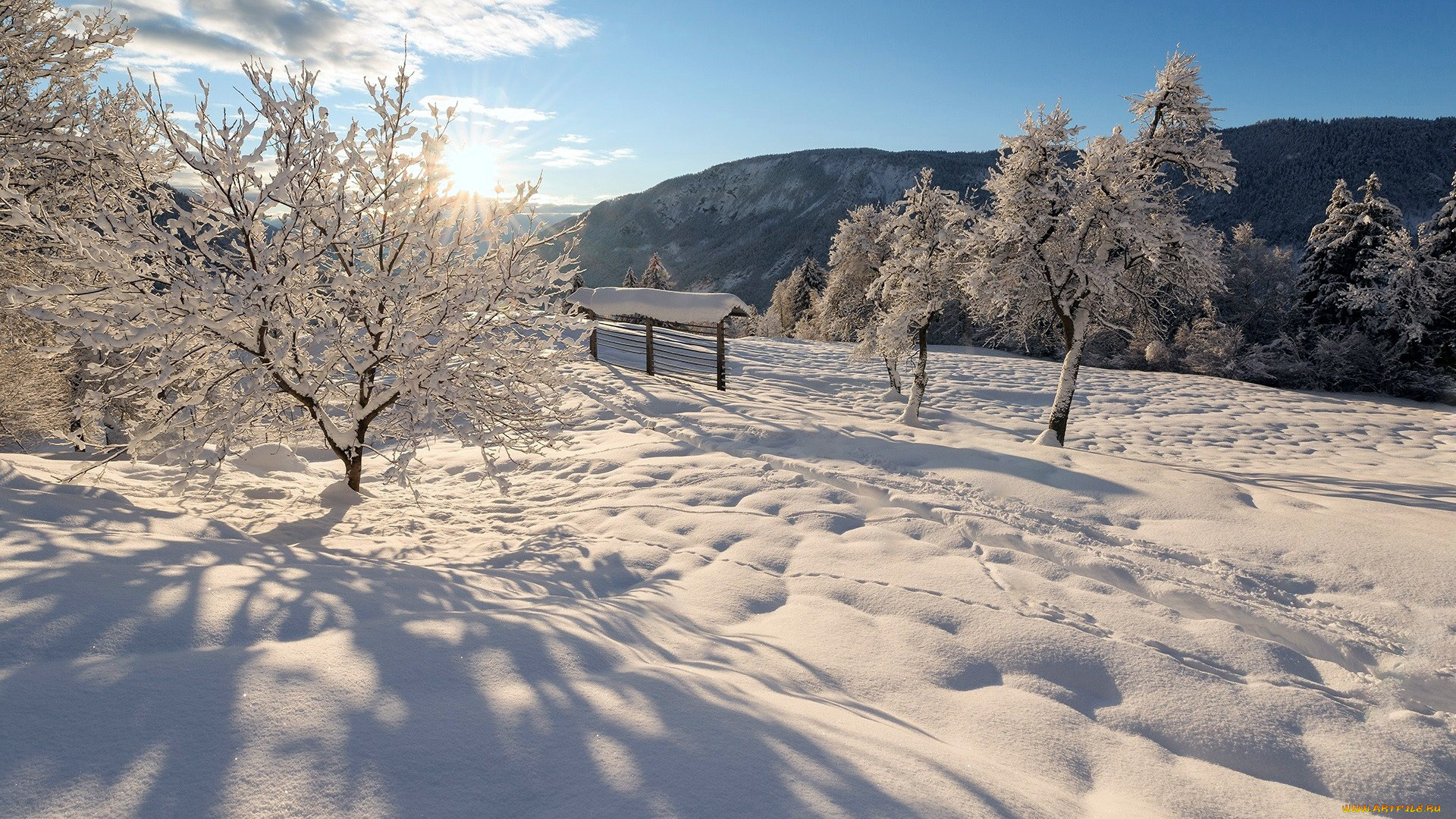 природа, зима, снег, сугробы