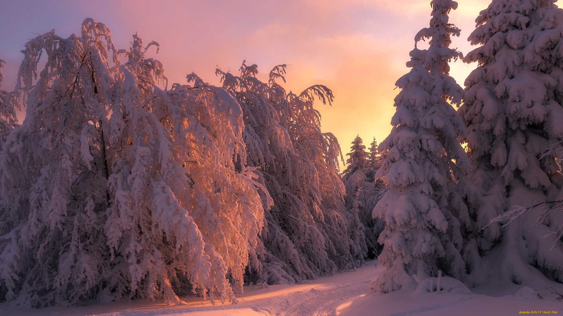 природа, зима, снег, сугробы