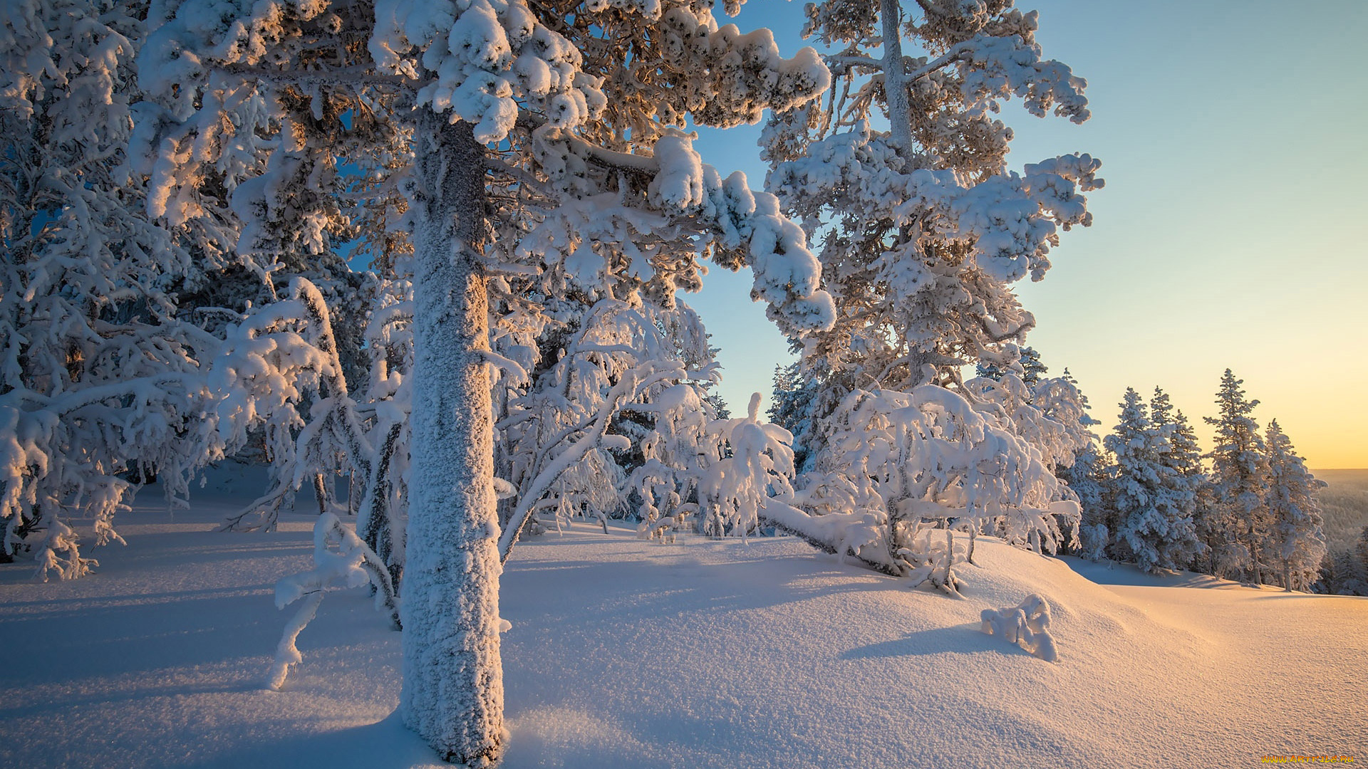 природа, зима, снег, сугробы