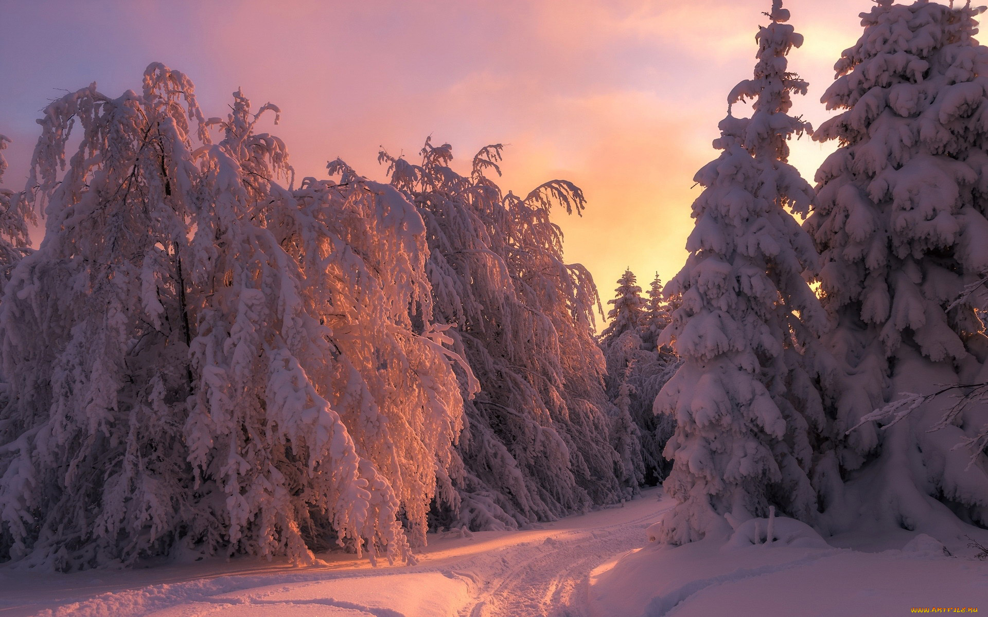 природа, зима, снег, сугробы