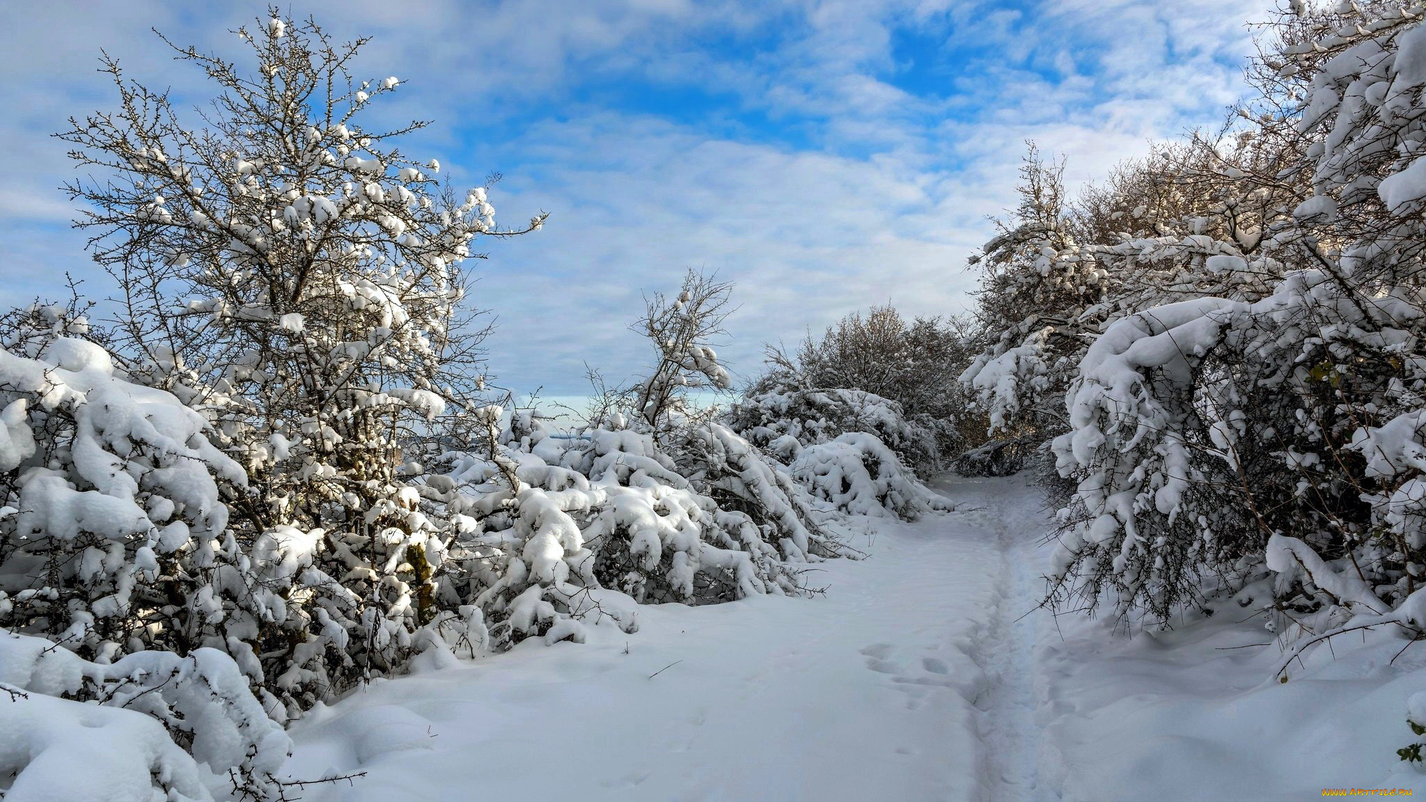 природа, зима, снег, сугробы