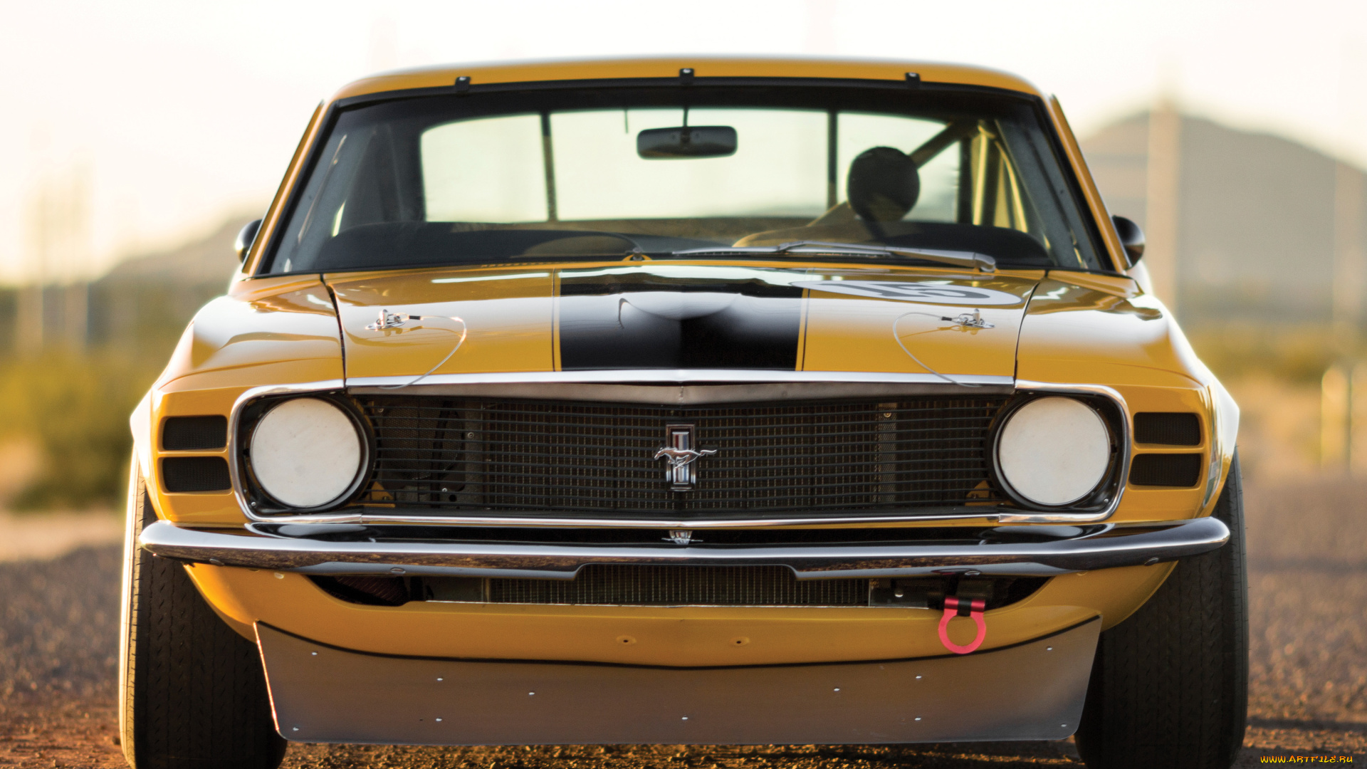 автомобили, mustang