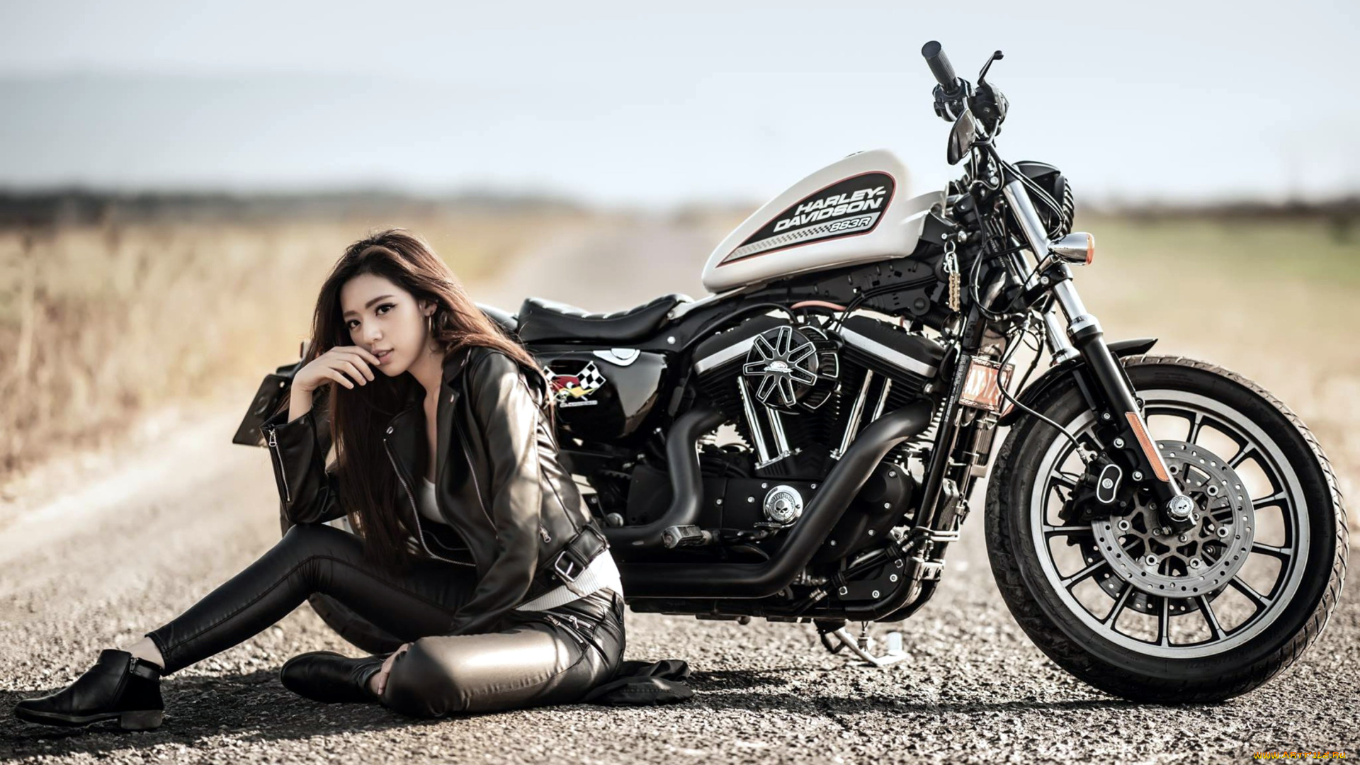 мотоциклы, мото, с, девушкой, harley, davidson