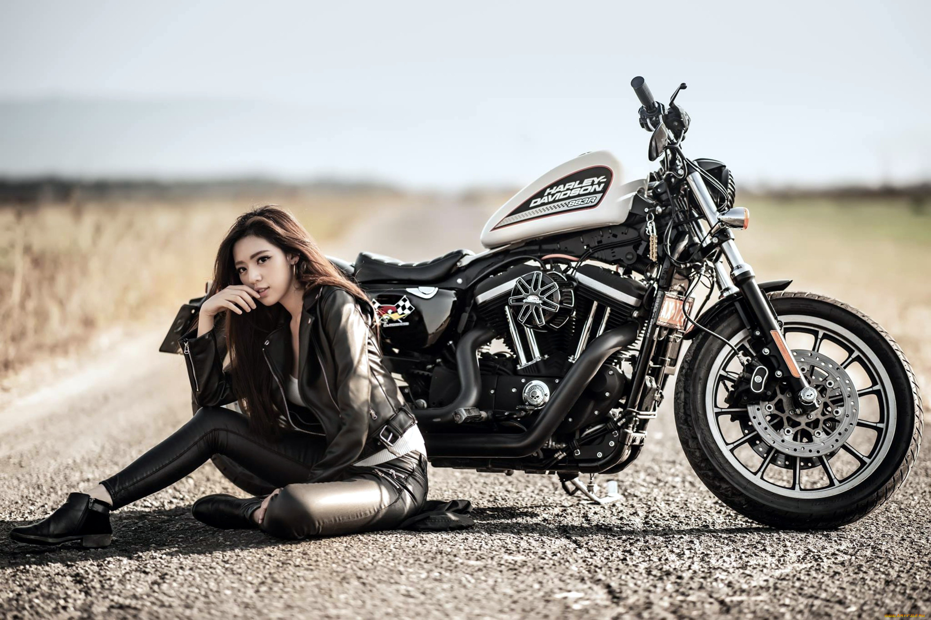 мотоциклы, мото, с, девушкой, harley, davidson