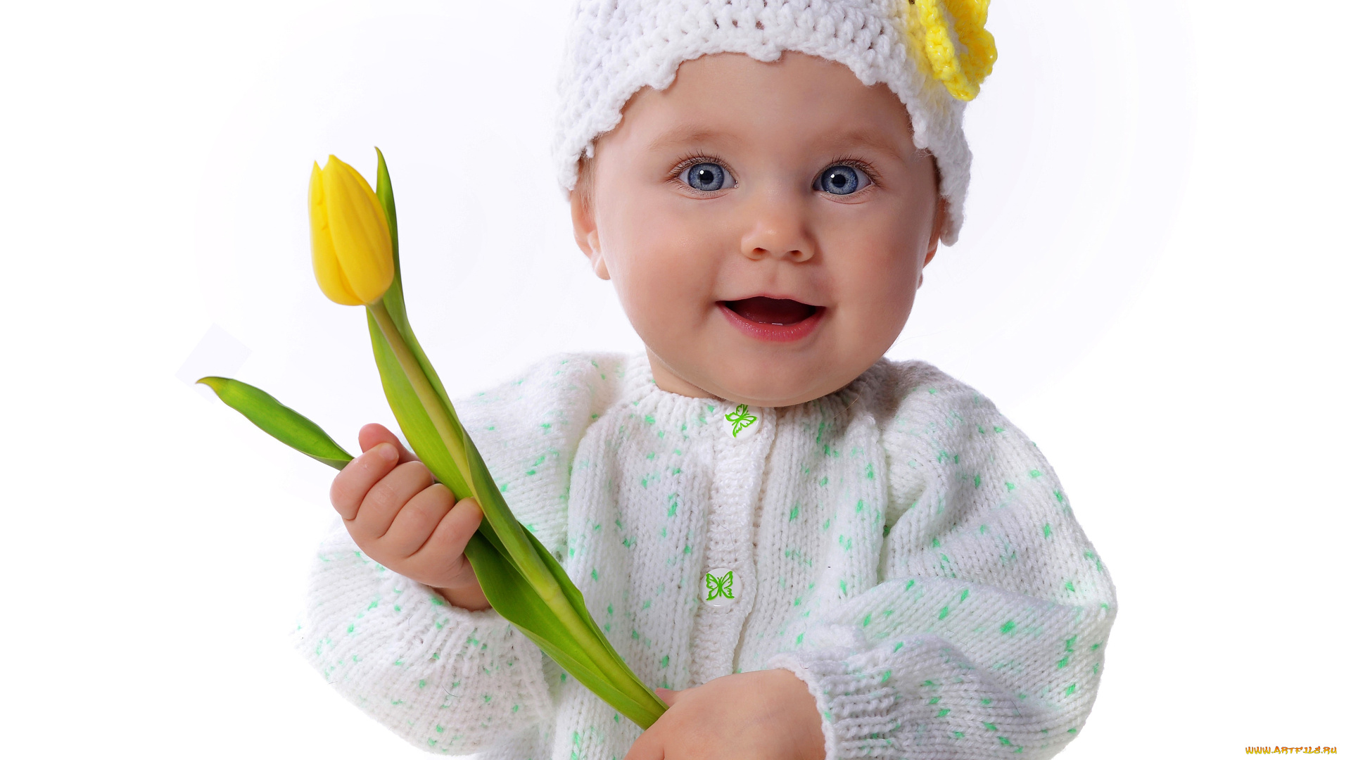 разное, дети, ребенок, тюльпан