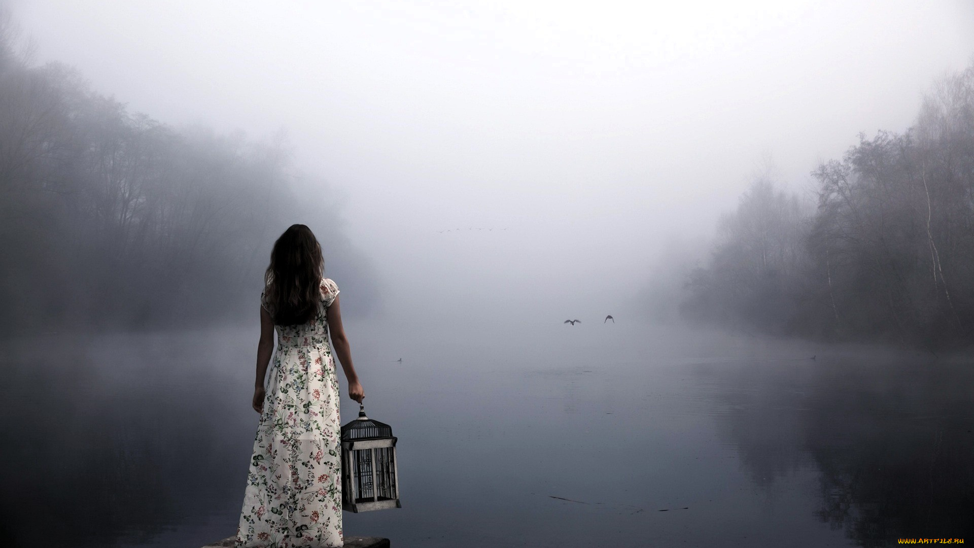 девушки, -, брюнетки, , шатенки, брюнетка, платье, клетка, озеро, туман