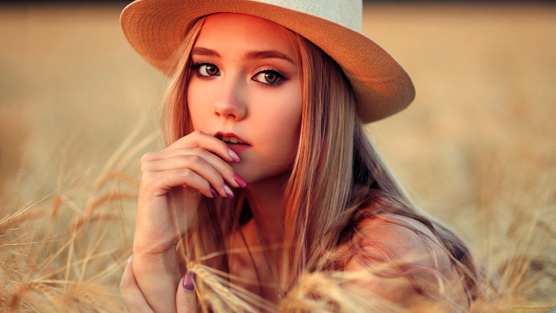 дарина, сидорова, девушки, лицо, шляпа, блондинка, поле, колосья