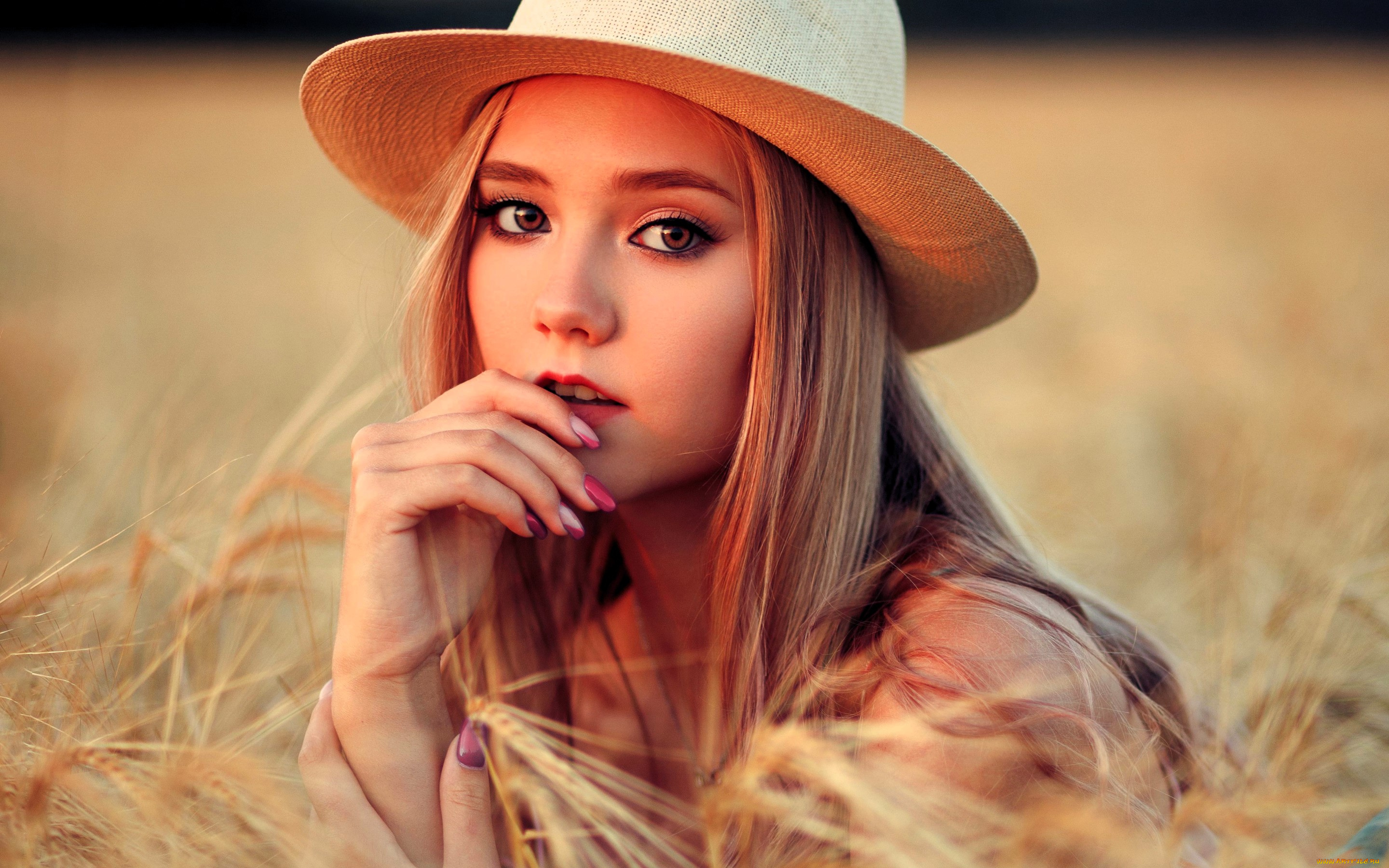 дарина, сидорова, девушки, лицо, шляпа, блондинка, поле, колосья